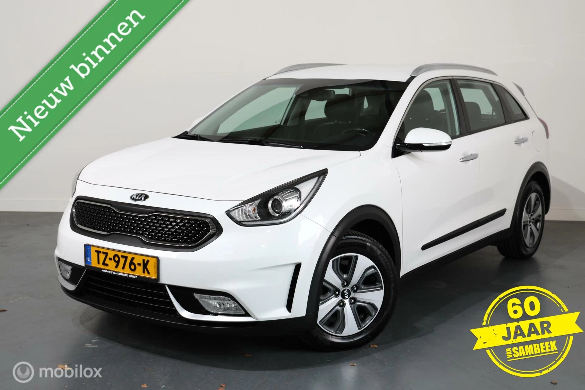 Hoofdafbeelding Kia Niro