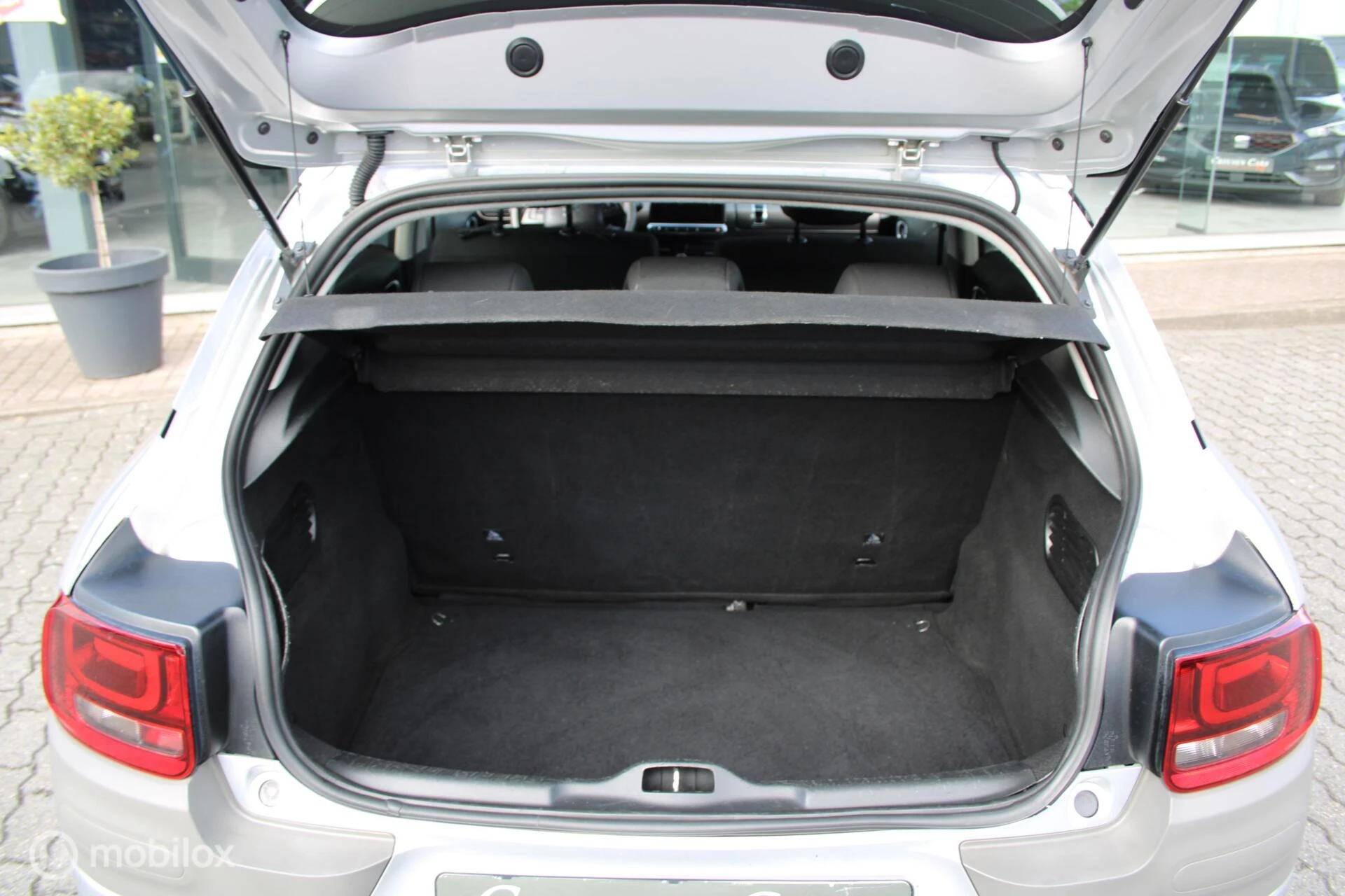 Hoofdafbeelding Citroën C4 Cactus