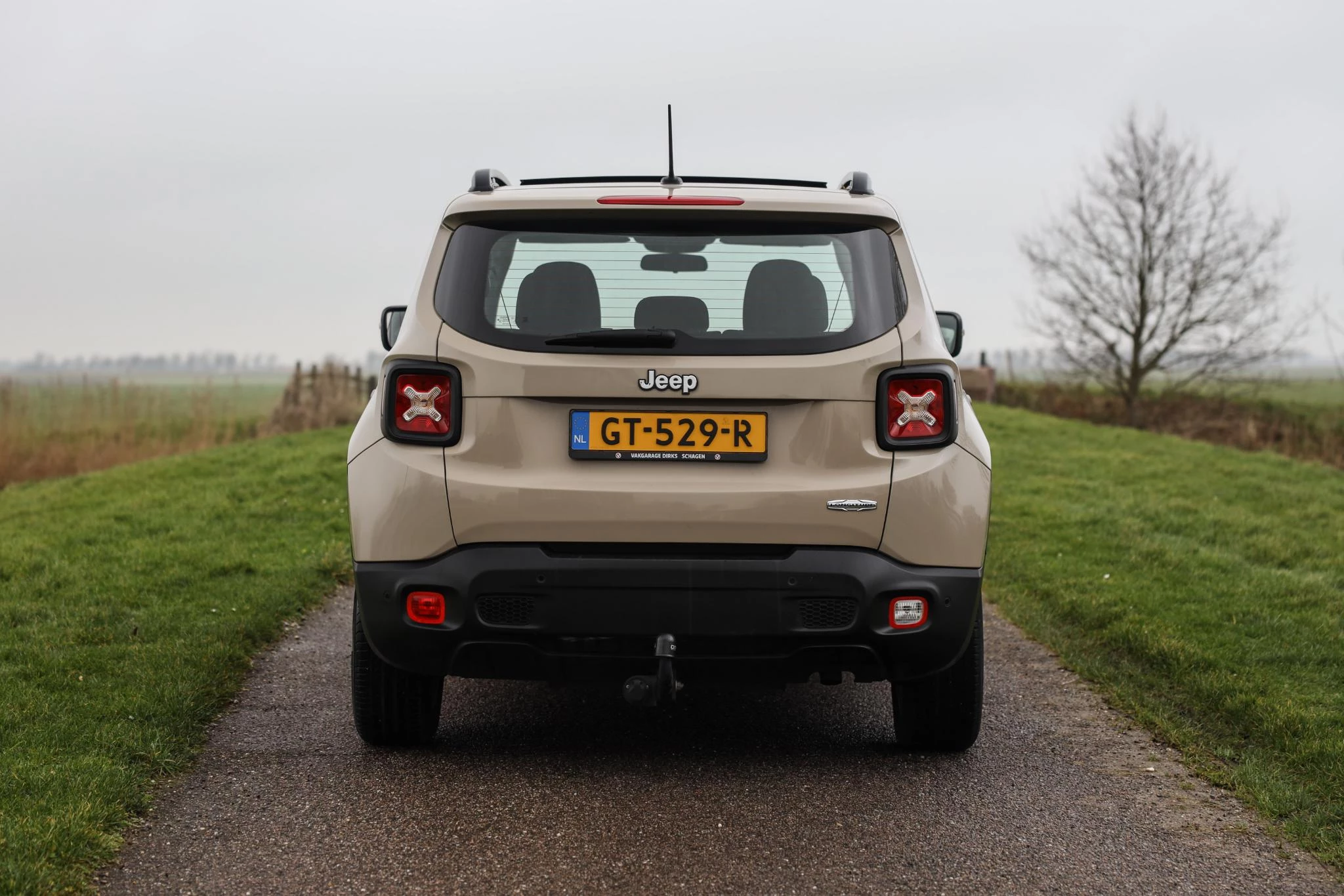 Hoofdafbeelding Jeep Renegade