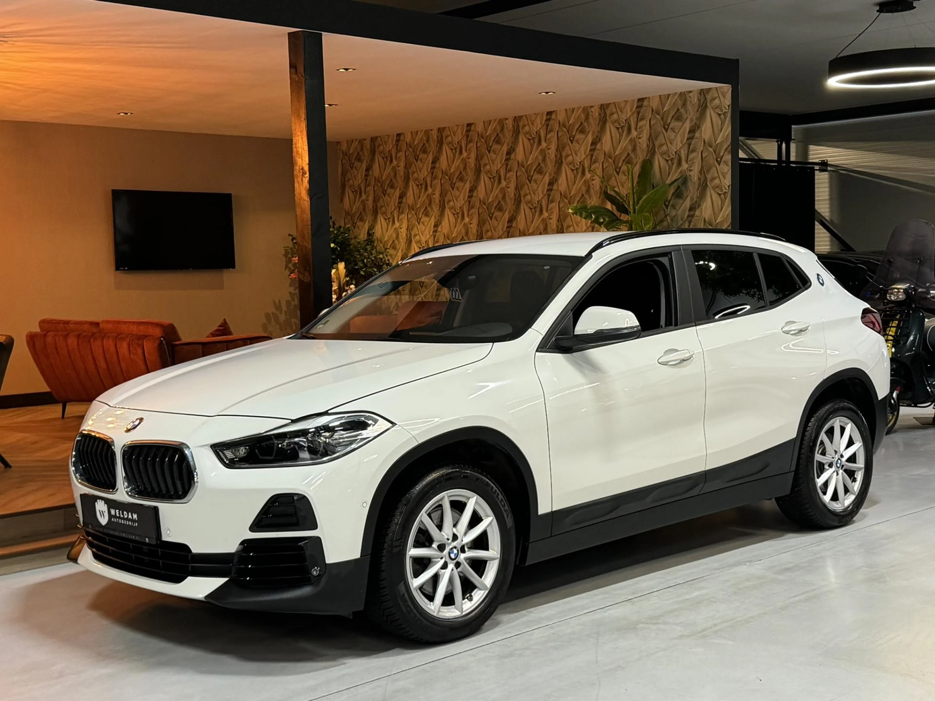 Hoofdafbeelding BMW X2