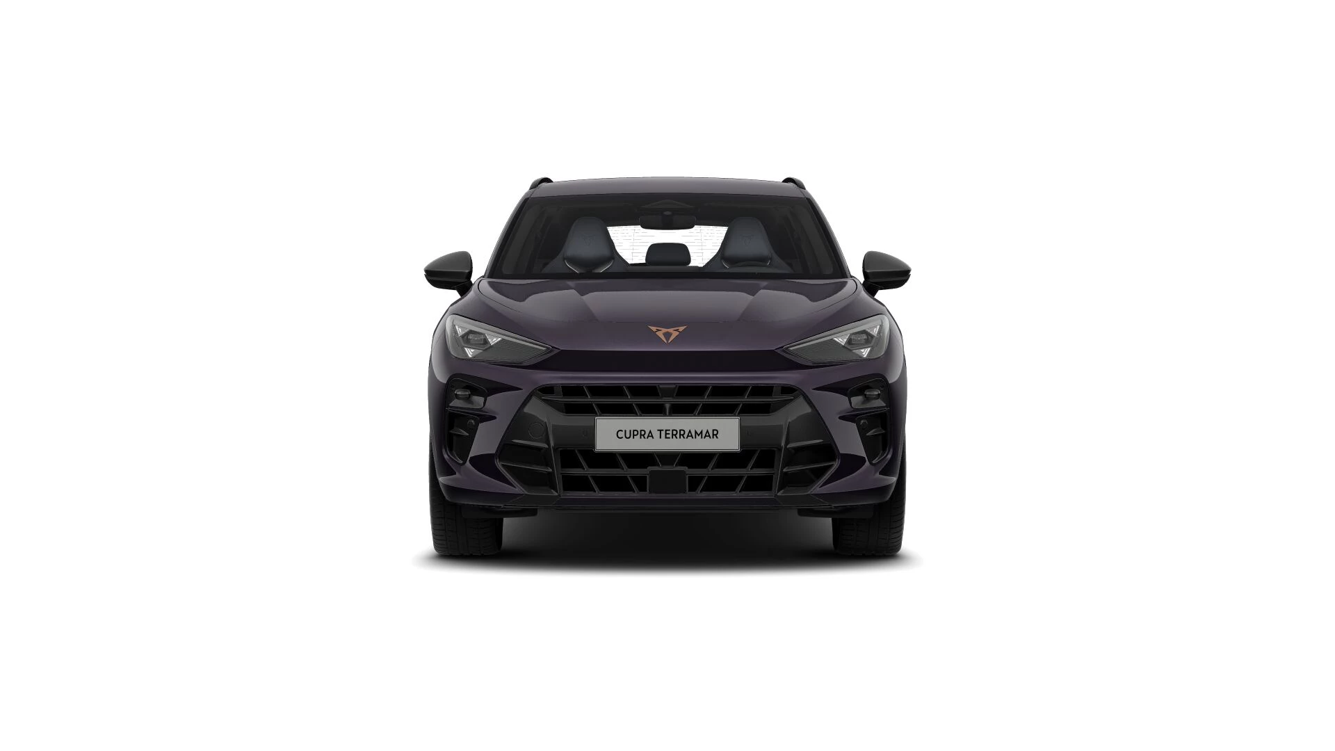 Hoofdafbeelding CUPRA Terramar