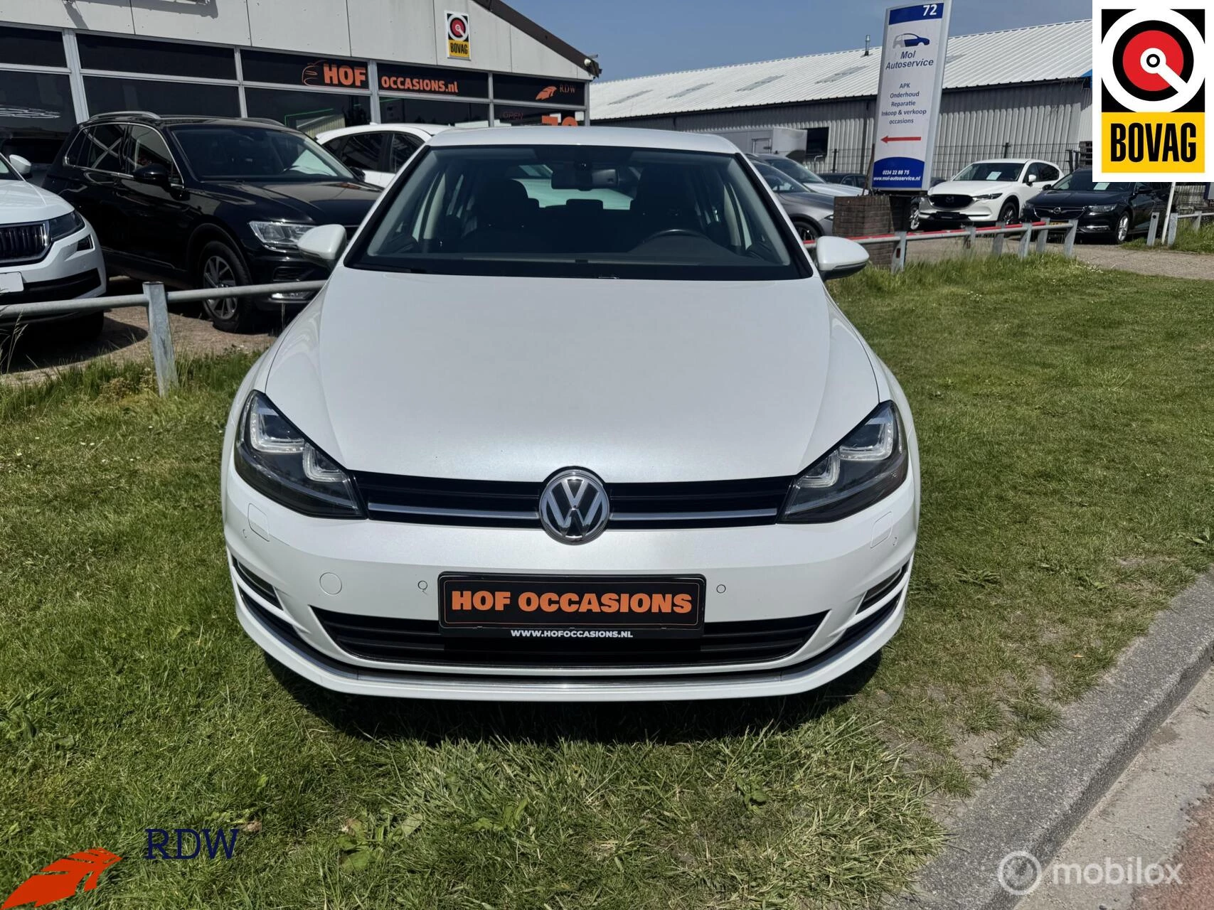Hoofdafbeelding Volkswagen Golf