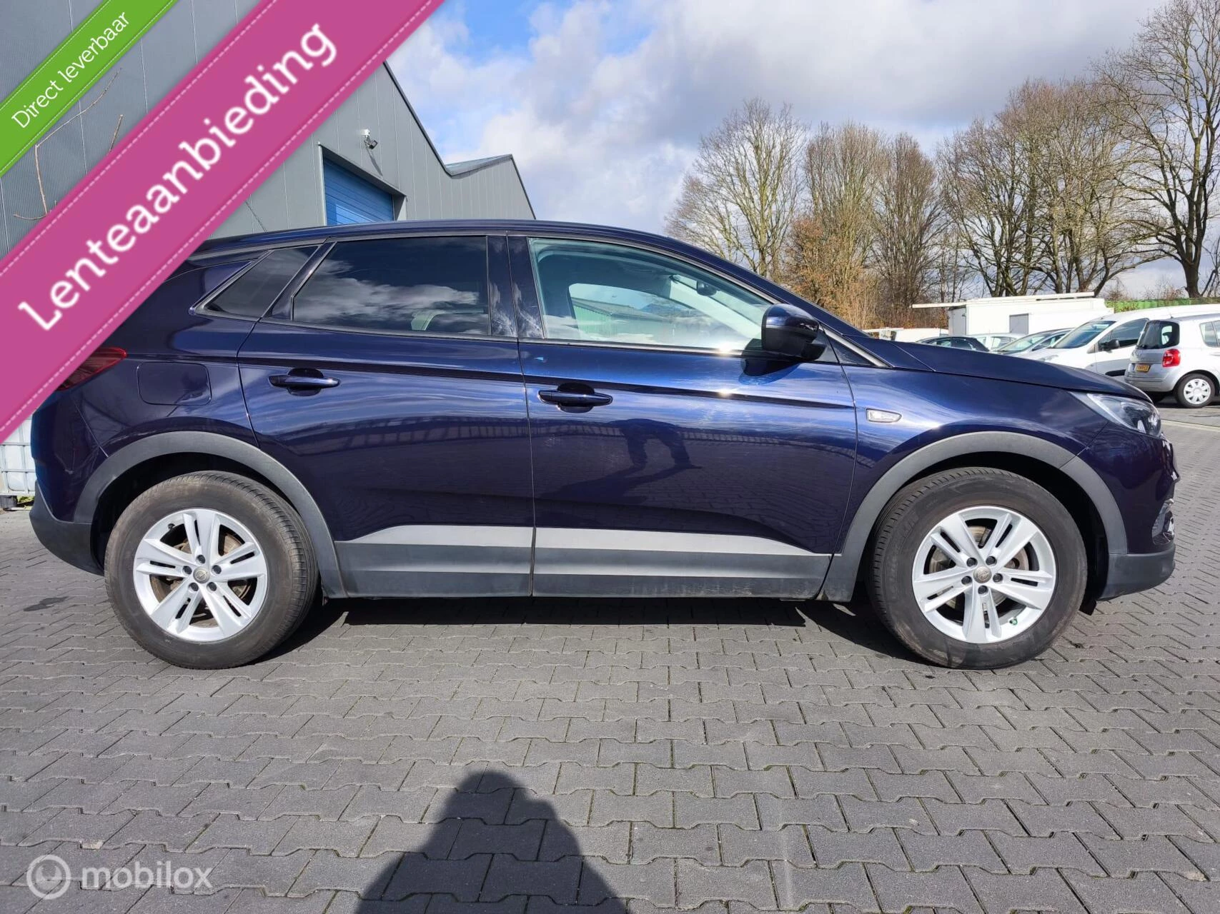 Hoofdafbeelding Opel Grandland X