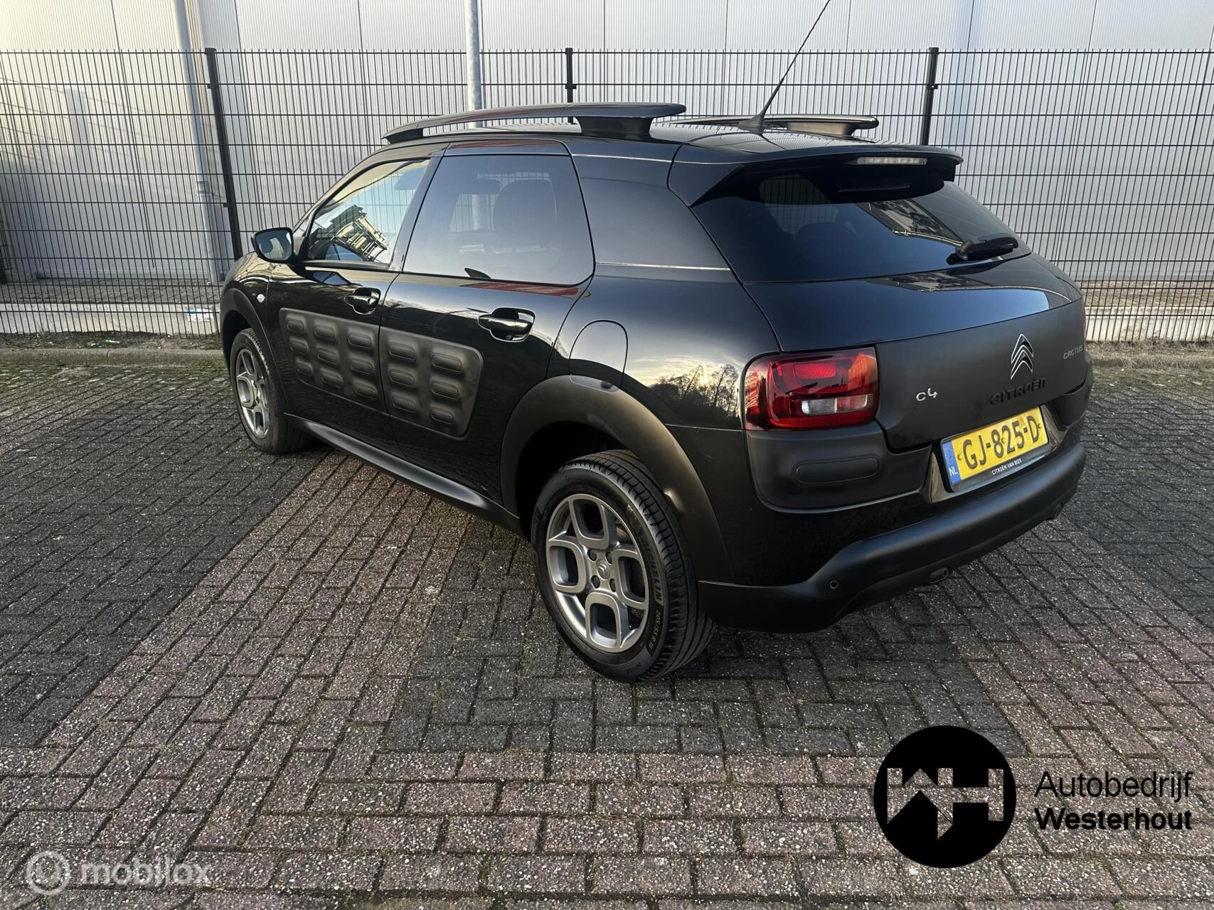 Hoofdafbeelding Citroën C4 Cactus