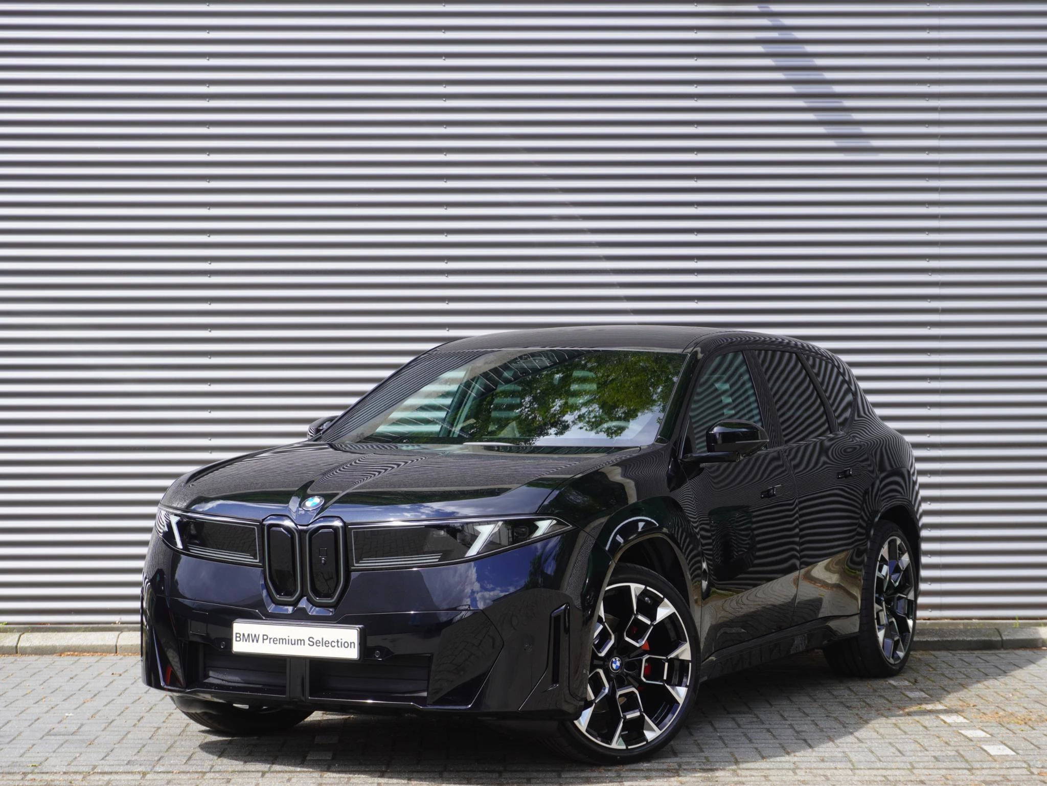 Hoofdafbeelding BMW iX3