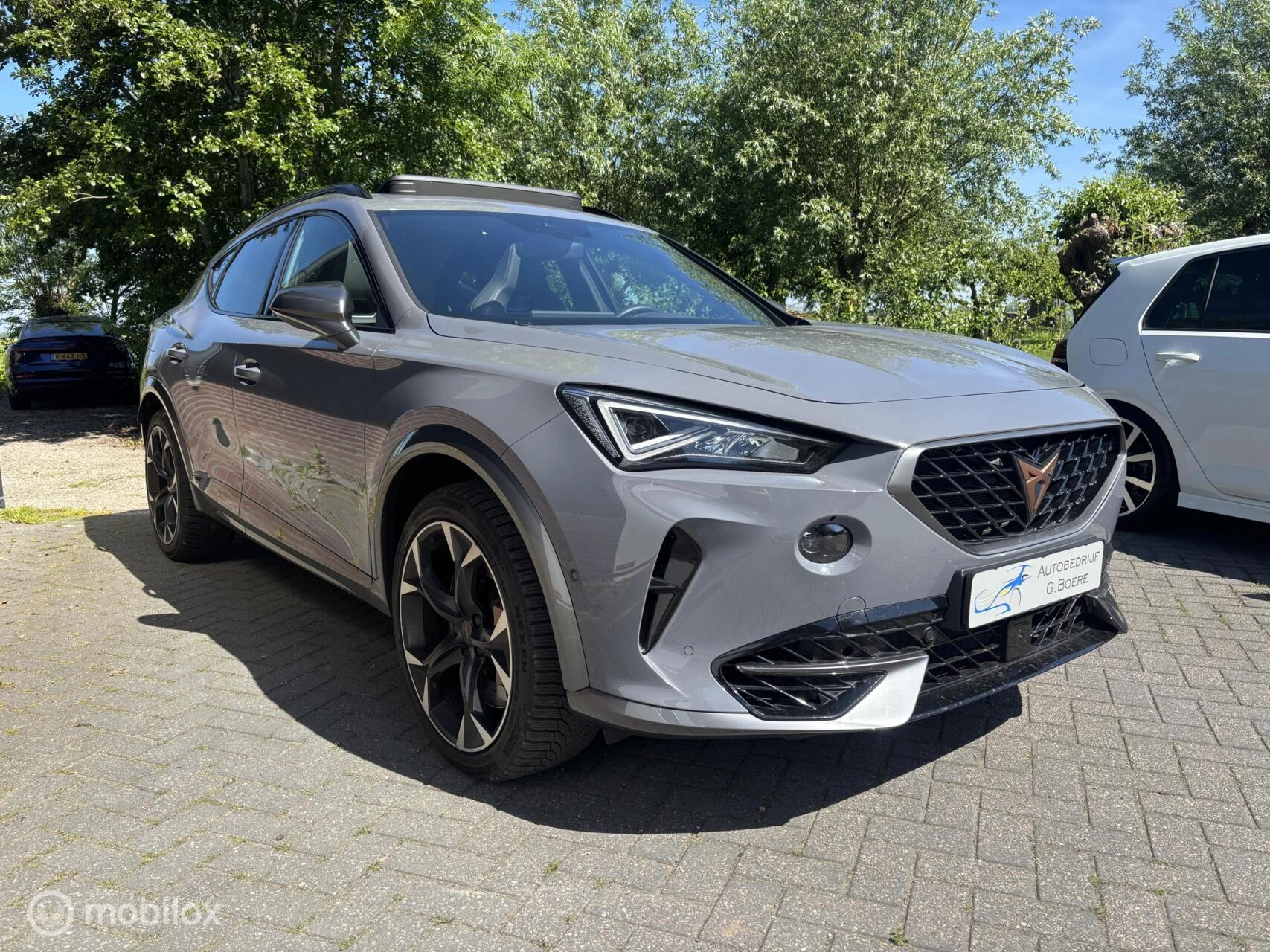 Hoofdafbeelding CUPRA Formentor