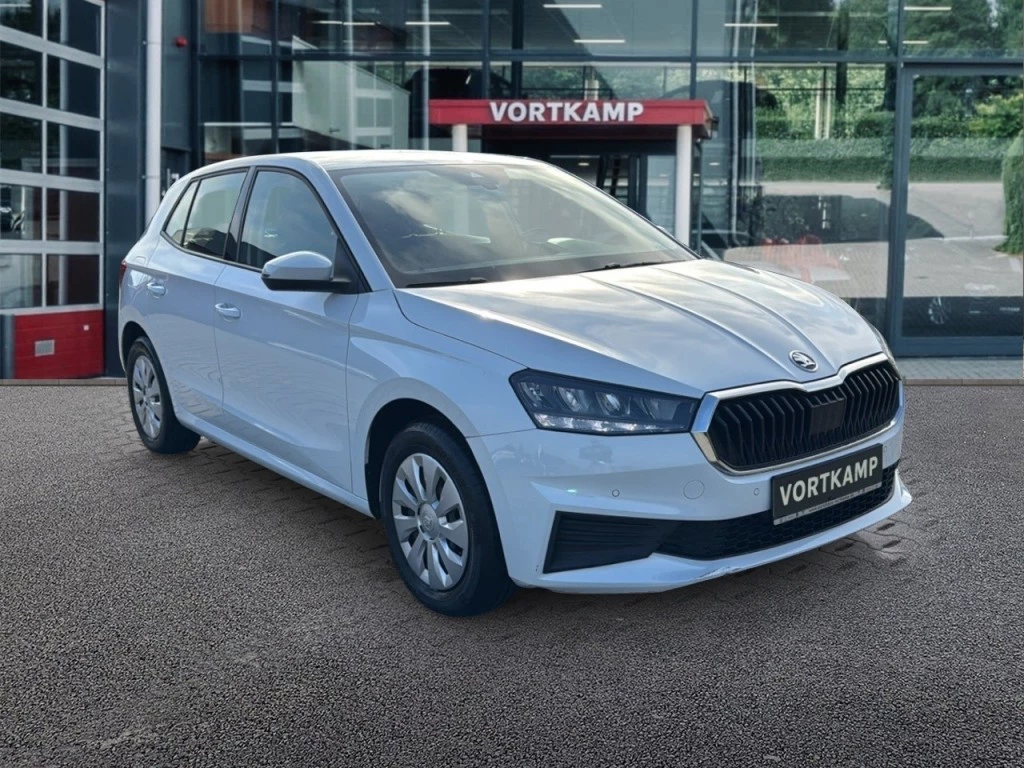 Hoofdafbeelding Škoda Fabia