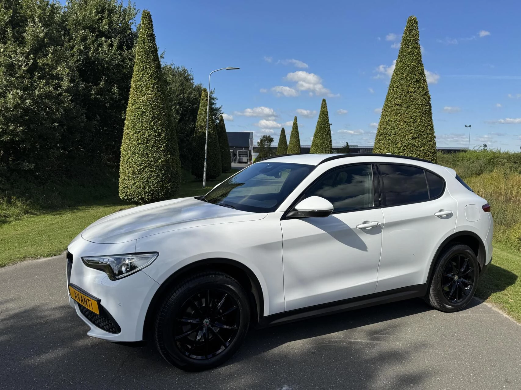 Hoofdafbeelding Alfa Romeo Stelvio