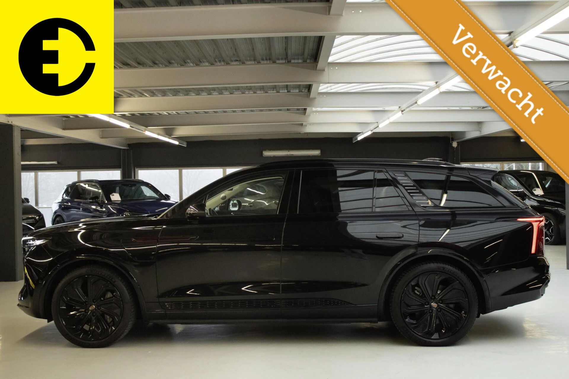 Hoofdafbeelding Hongqi E-HS9