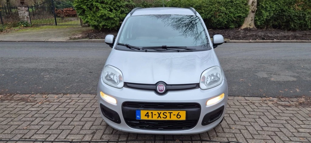 Hoofdafbeelding Fiat Panda