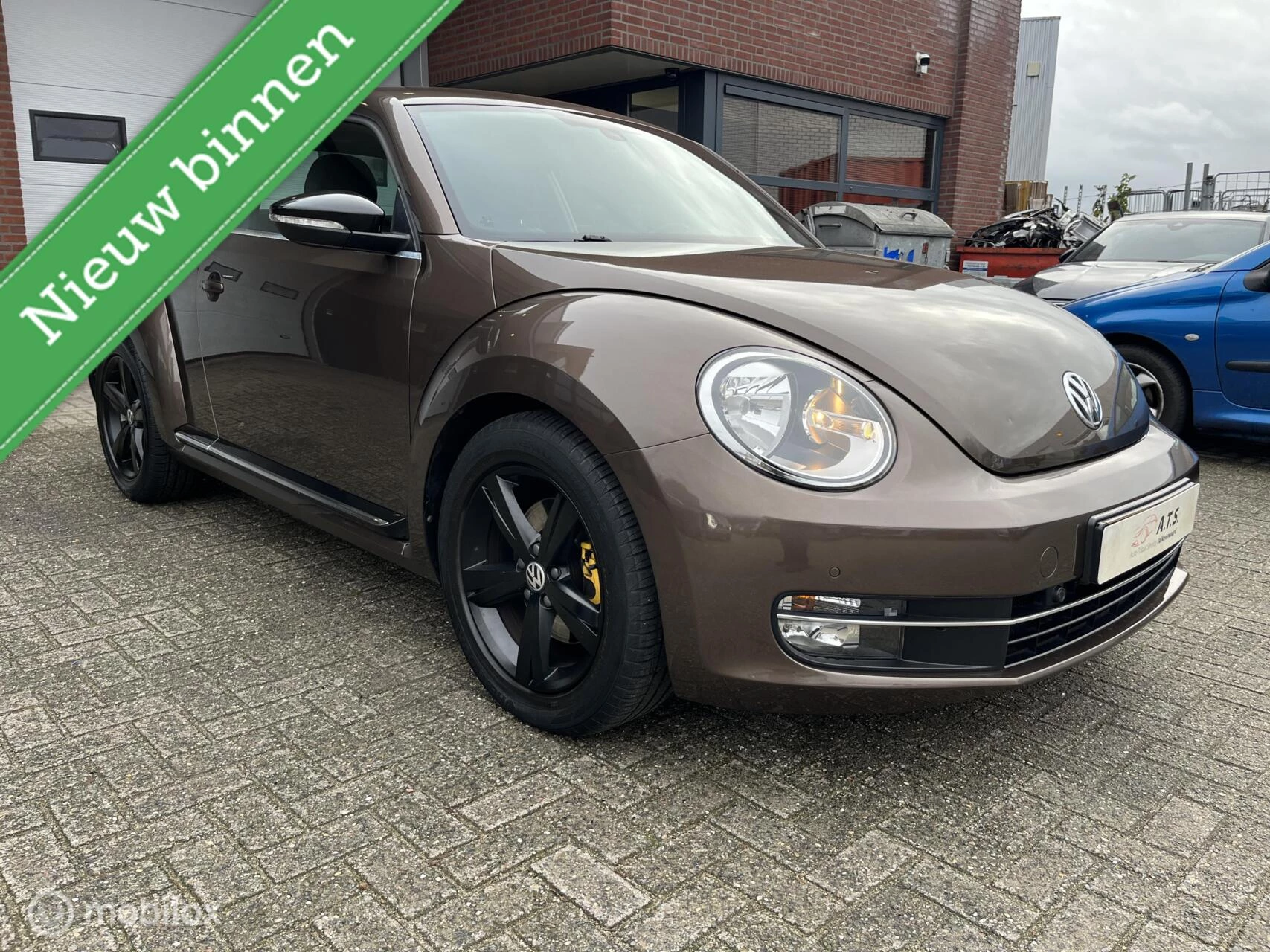 Hoofdafbeelding Volkswagen Beetle