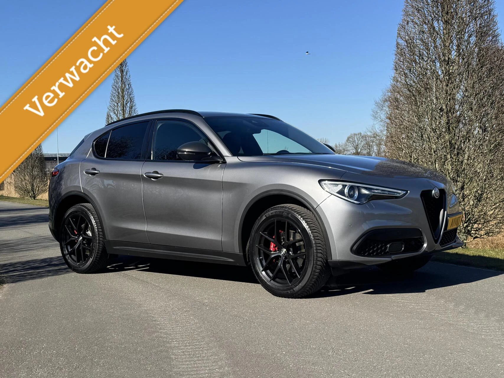Hoofdafbeelding Alfa Romeo Stelvio
