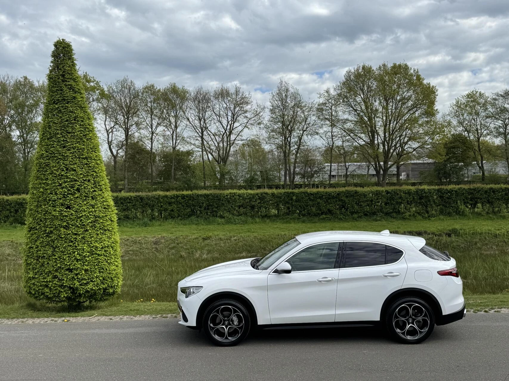 Hoofdafbeelding Alfa Romeo Stelvio