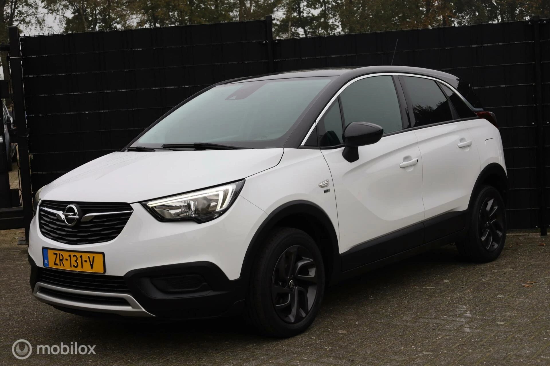 Hoofdafbeelding Opel Crossland X