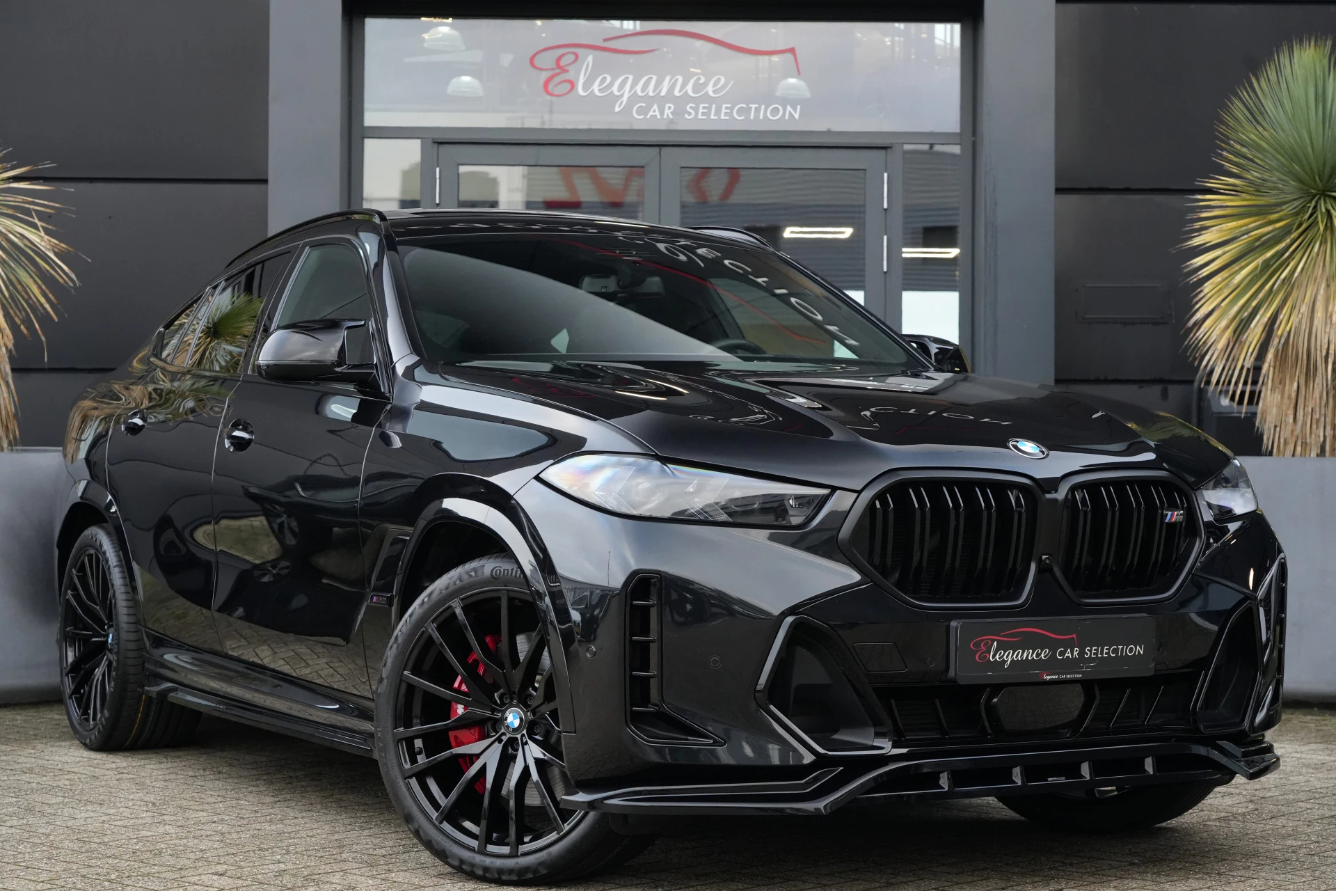 Hoofdafbeelding BMW X6