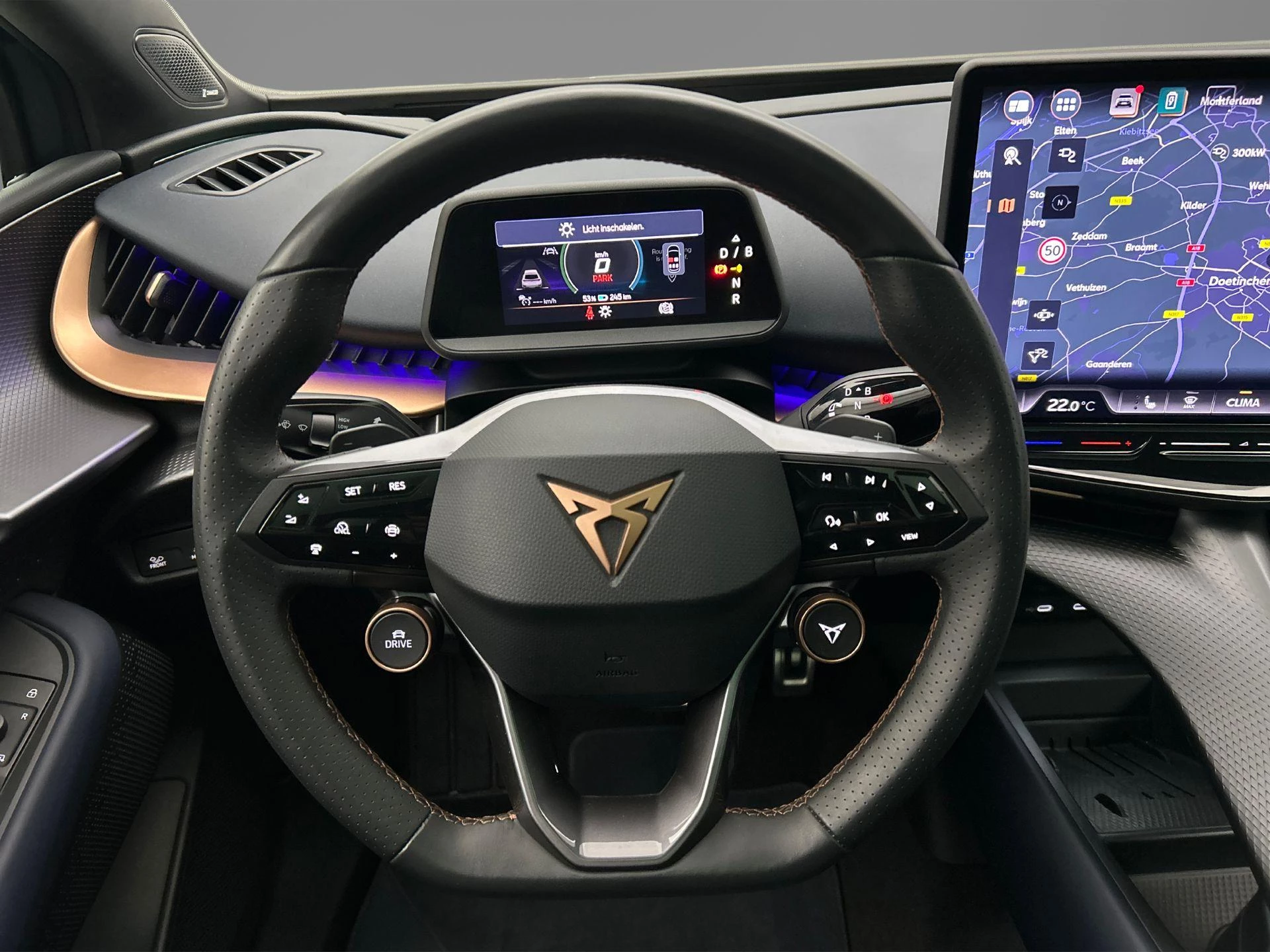 Hoofdafbeelding CUPRA Tavascan