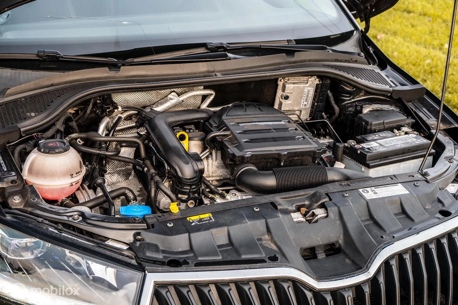 Hoofdafbeelding Škoda Fabia