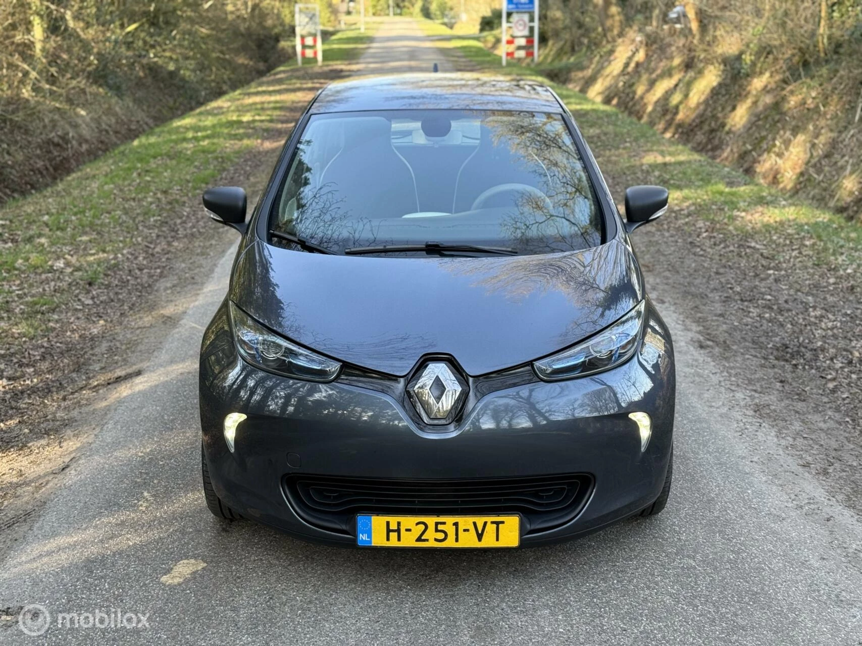 Hoofdafbeelding Renault ZOE