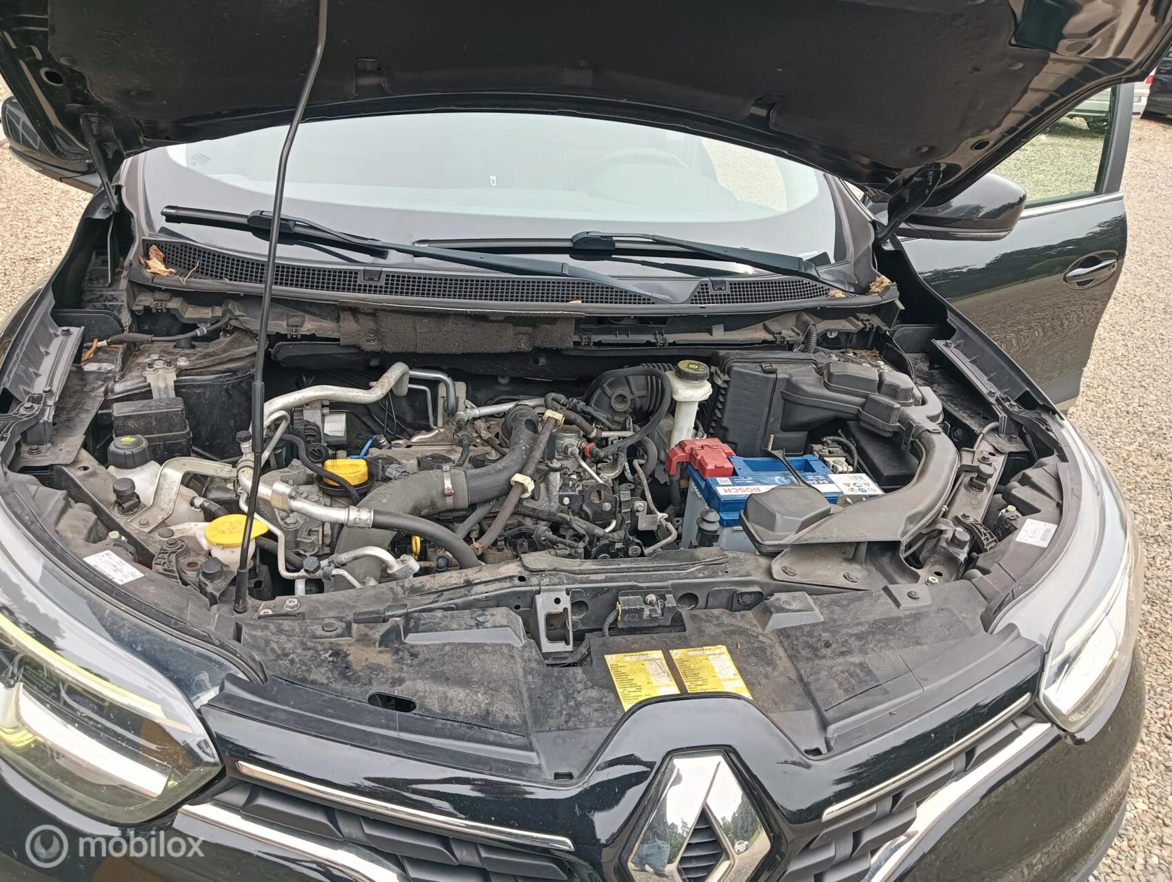 Hoofdafbeelding Renault Kadjar