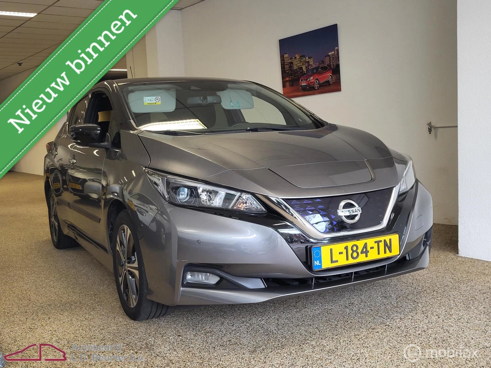 Hoofdafbeelding Nissan Leaf