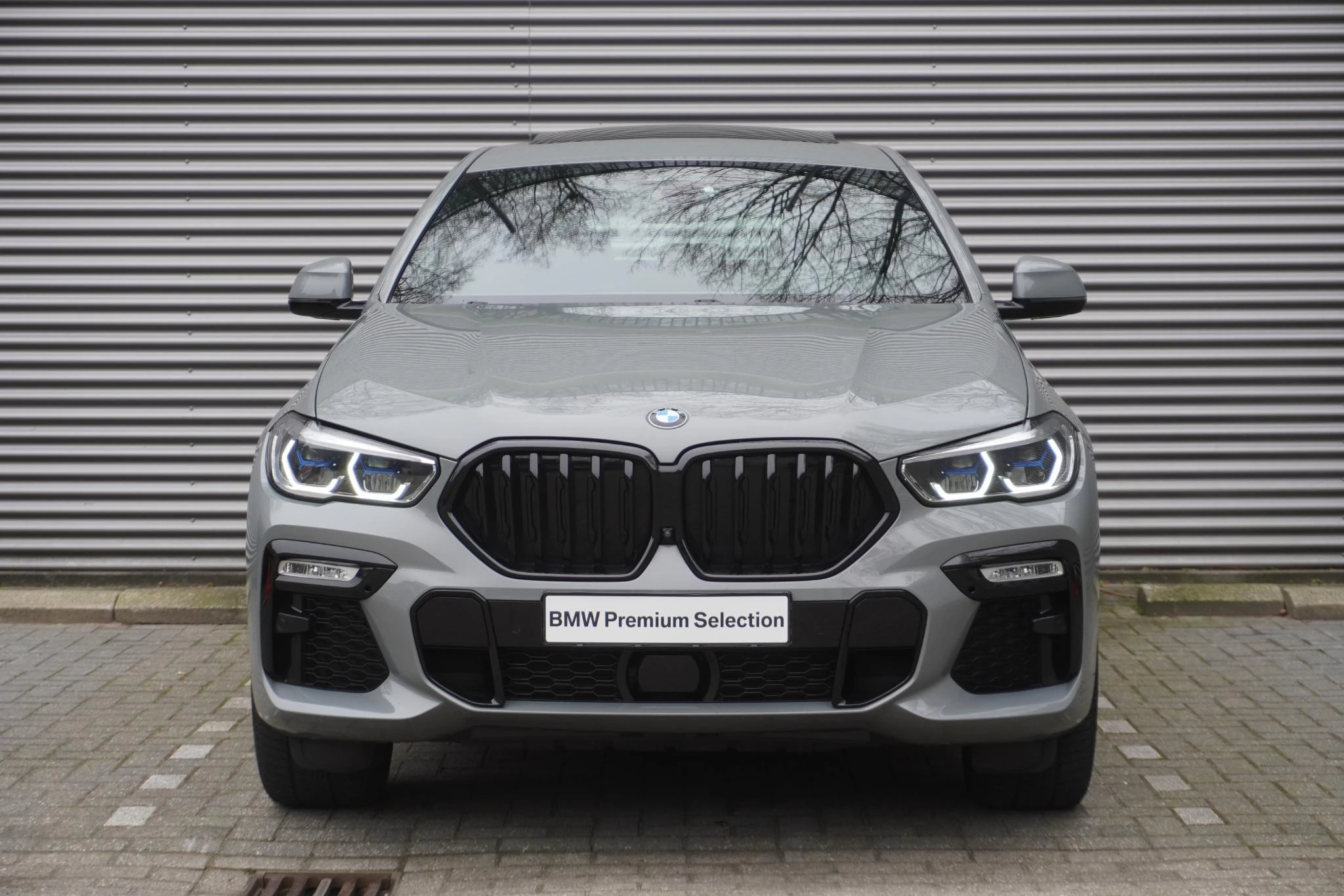 Hoofdafbeelding BMW X6
