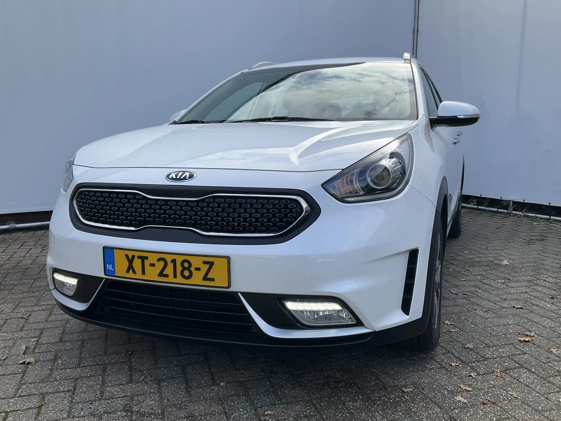 Hoofdafbeelding Kia Niro