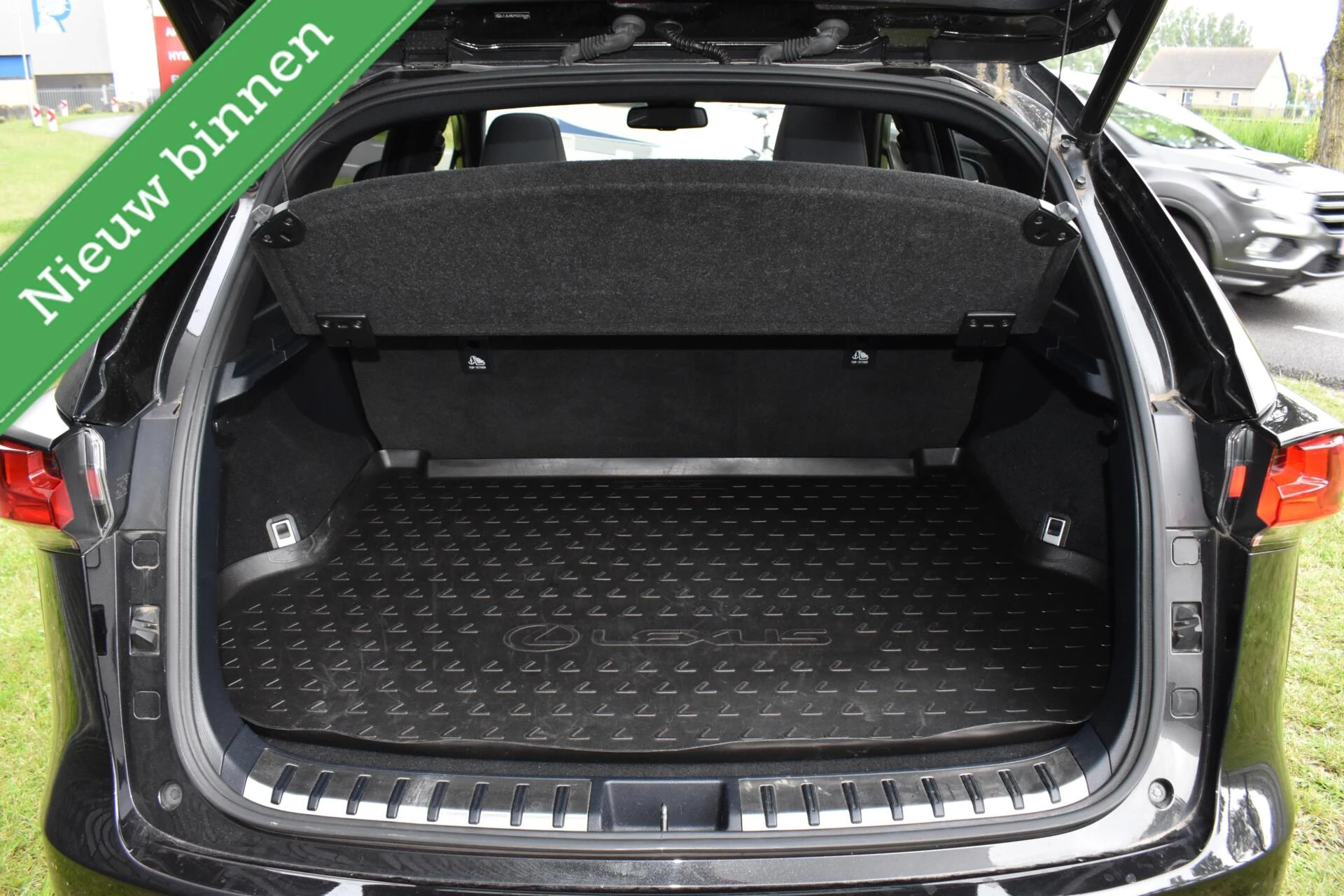 Hoofdafbeelding Lexus NX