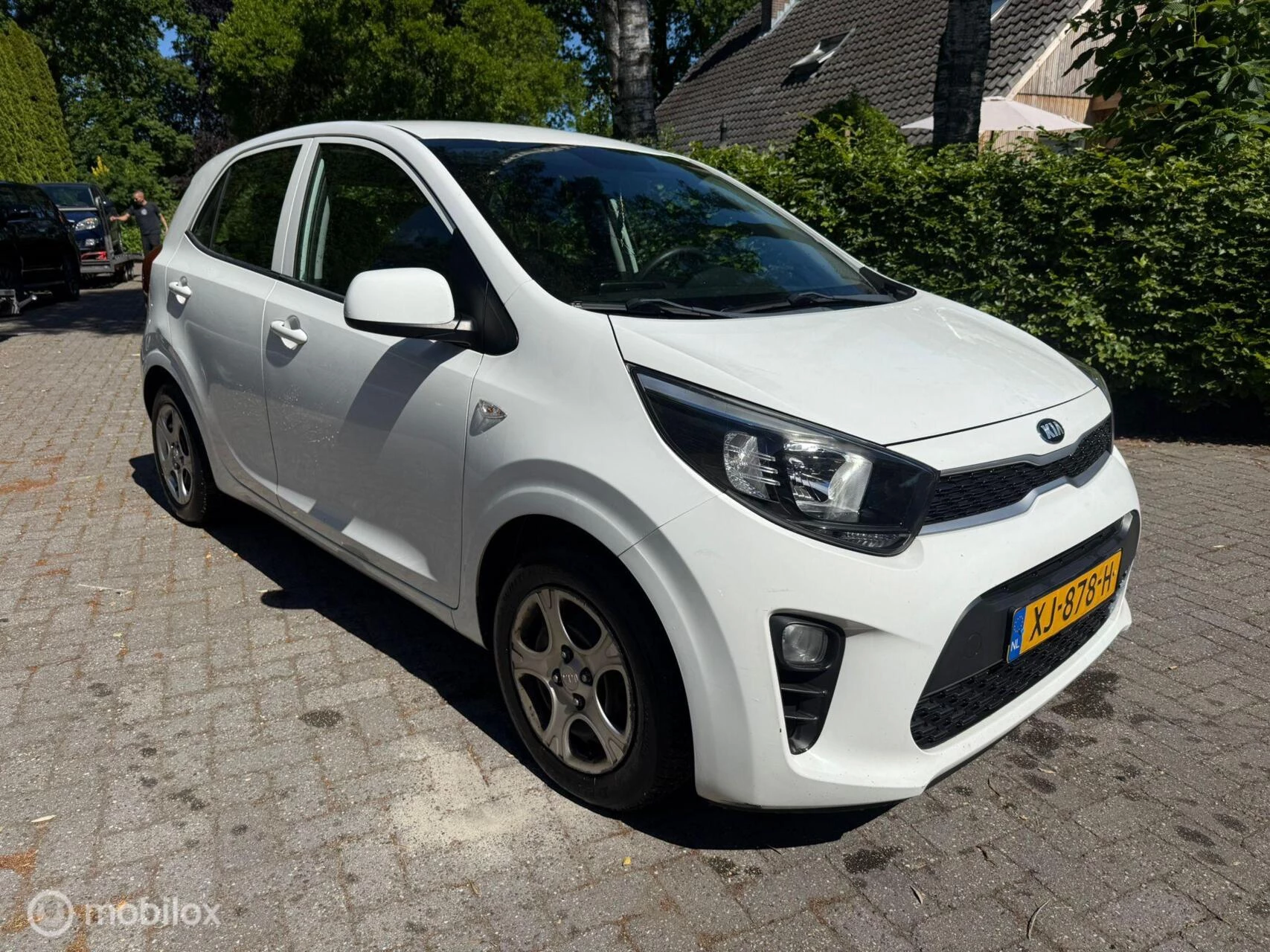 Hoofdafbeelding Kia Picanto