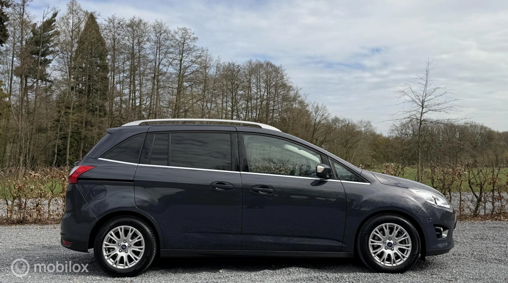 Hoofdafbeelding Ford Grand C-Max