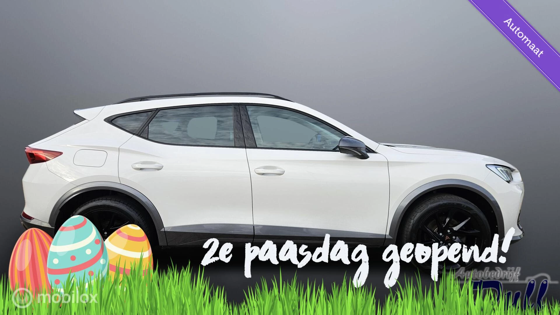 Hoofdafbeelding CUPRA Formentor