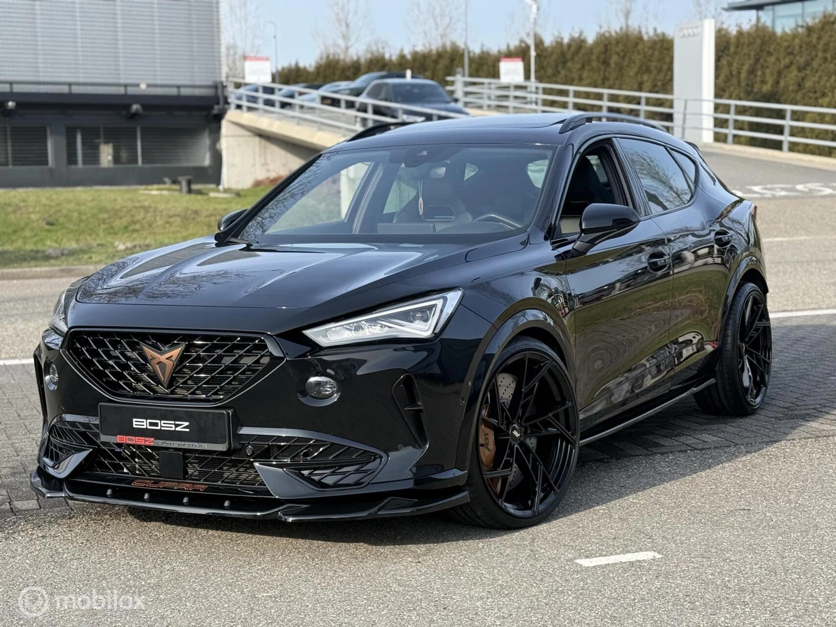 Hoofdafbeelding CUPRA Formentor