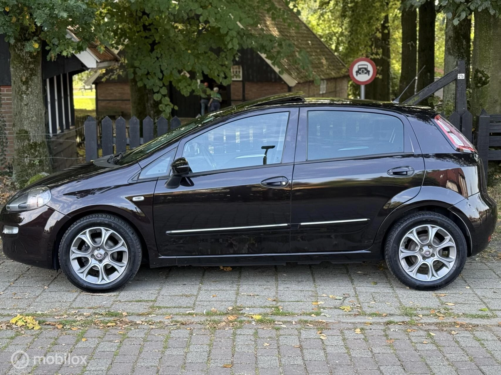 Hoofdafbeelding Fiat Punto