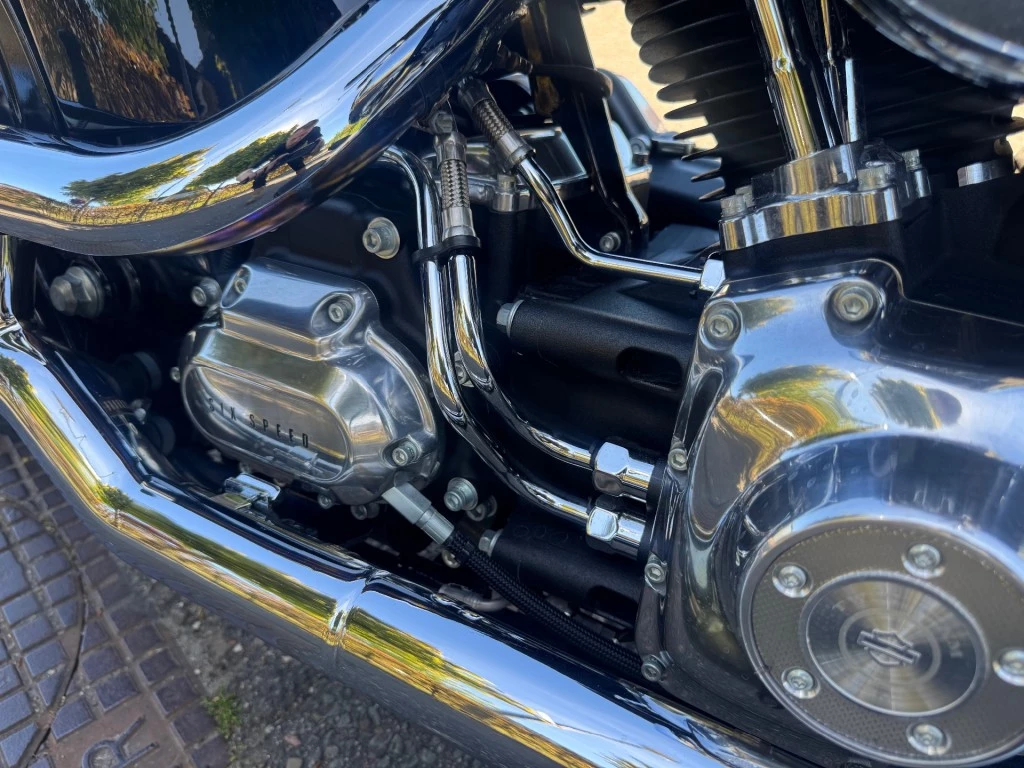Hoofdafbeelding Harley-Davidson Softail