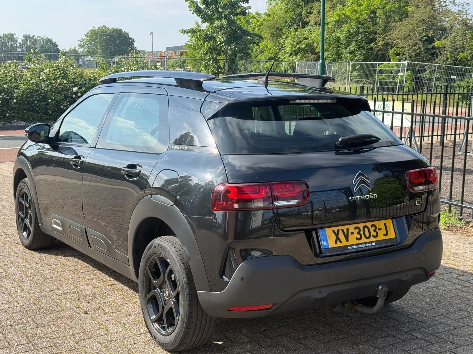 Hoofdafbeelding Citroën C4 Cactus