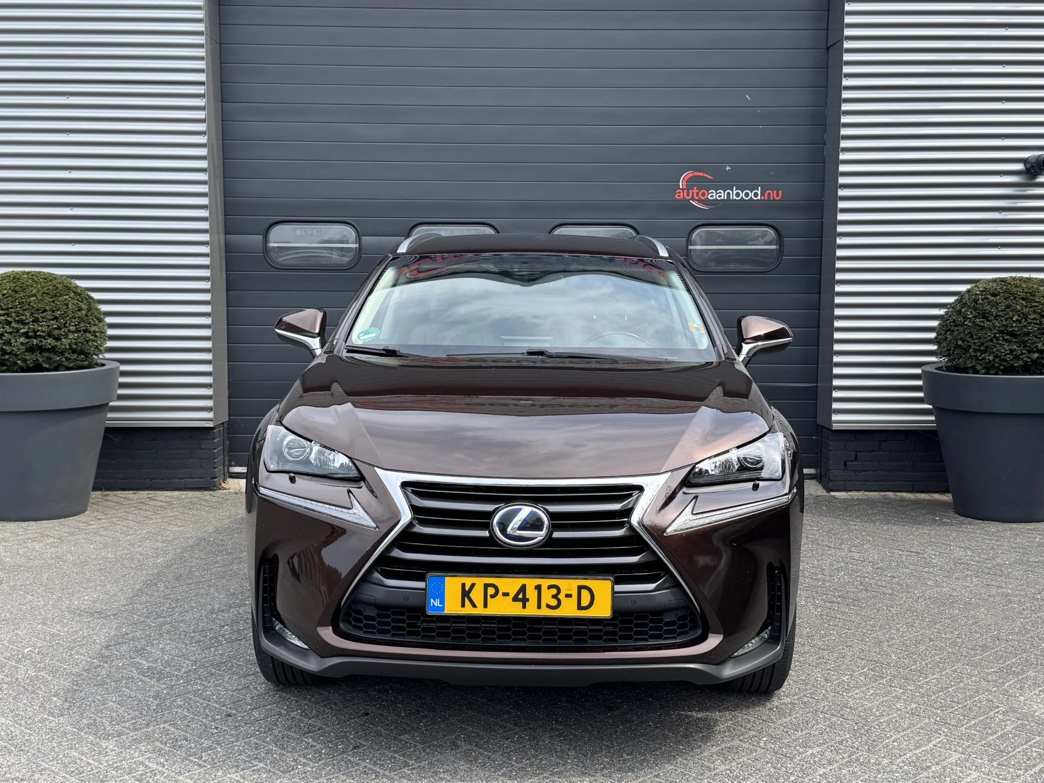 Hoofdafbeelding Lexus NX