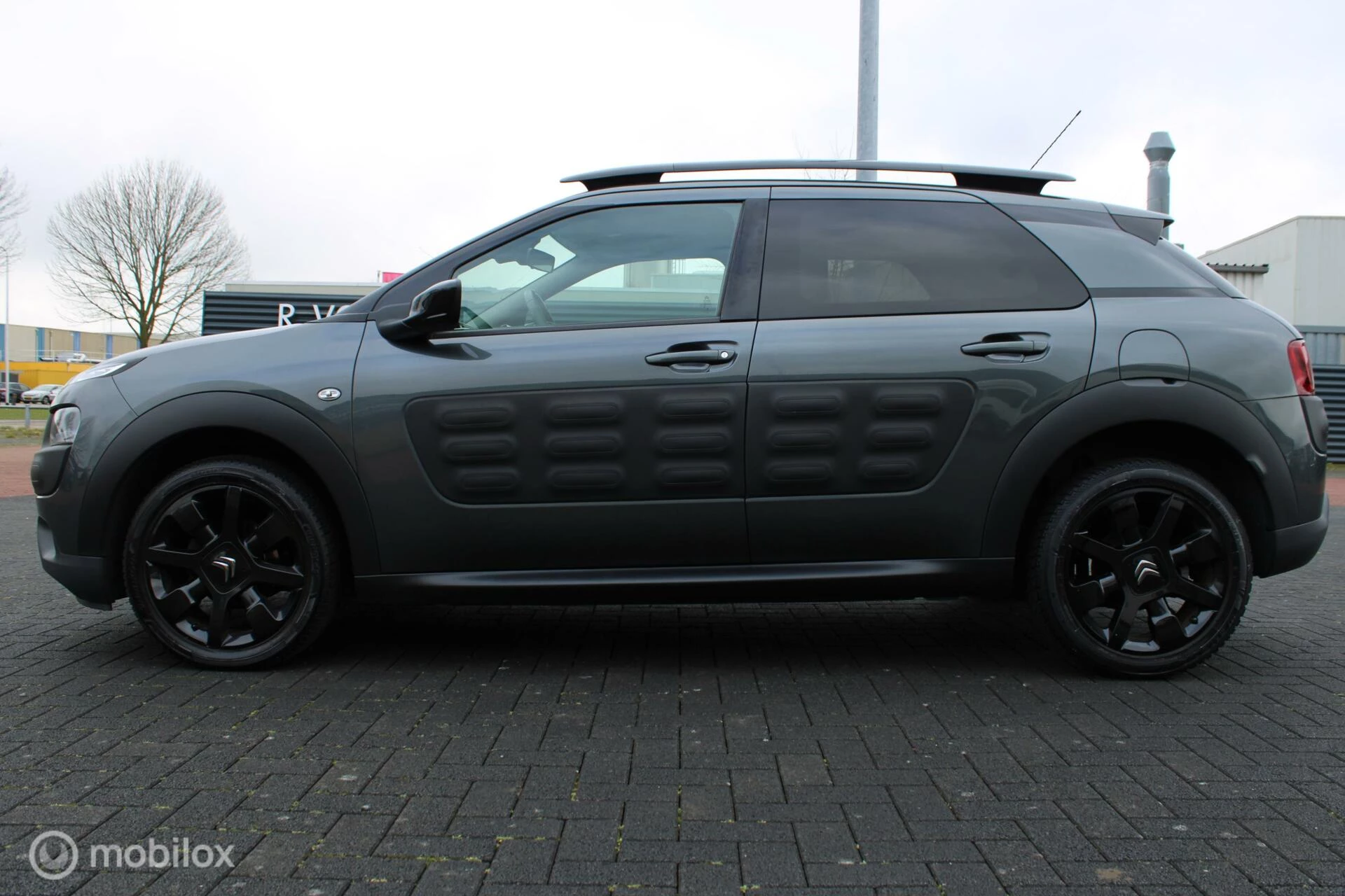 Hoofdafbeelding Citroën C4 Cactus