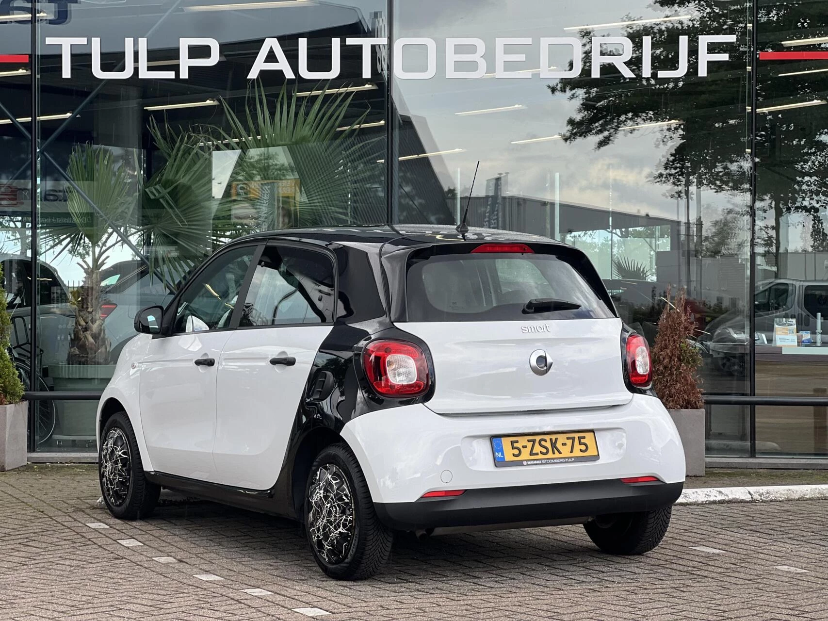 Hoofdafbeelding smart Forfour
