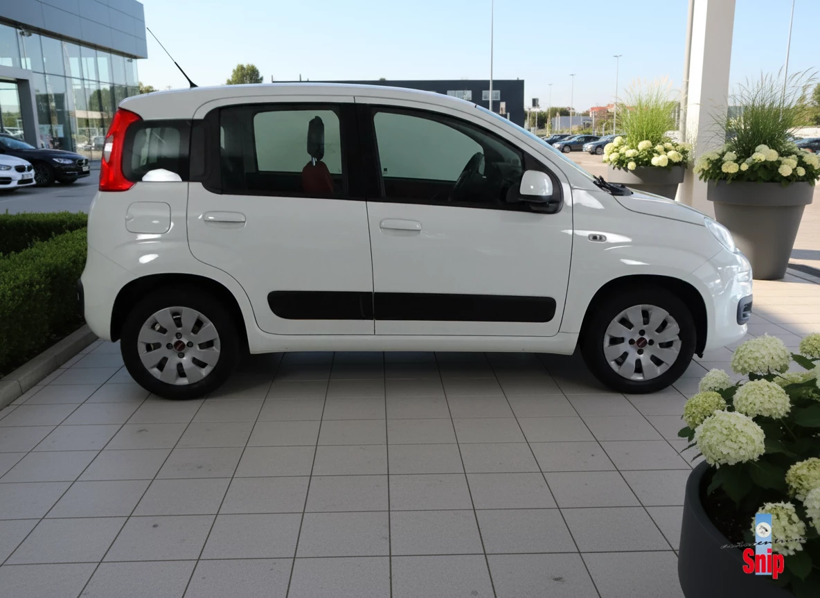Hoofdafbeelding Fiat Panda