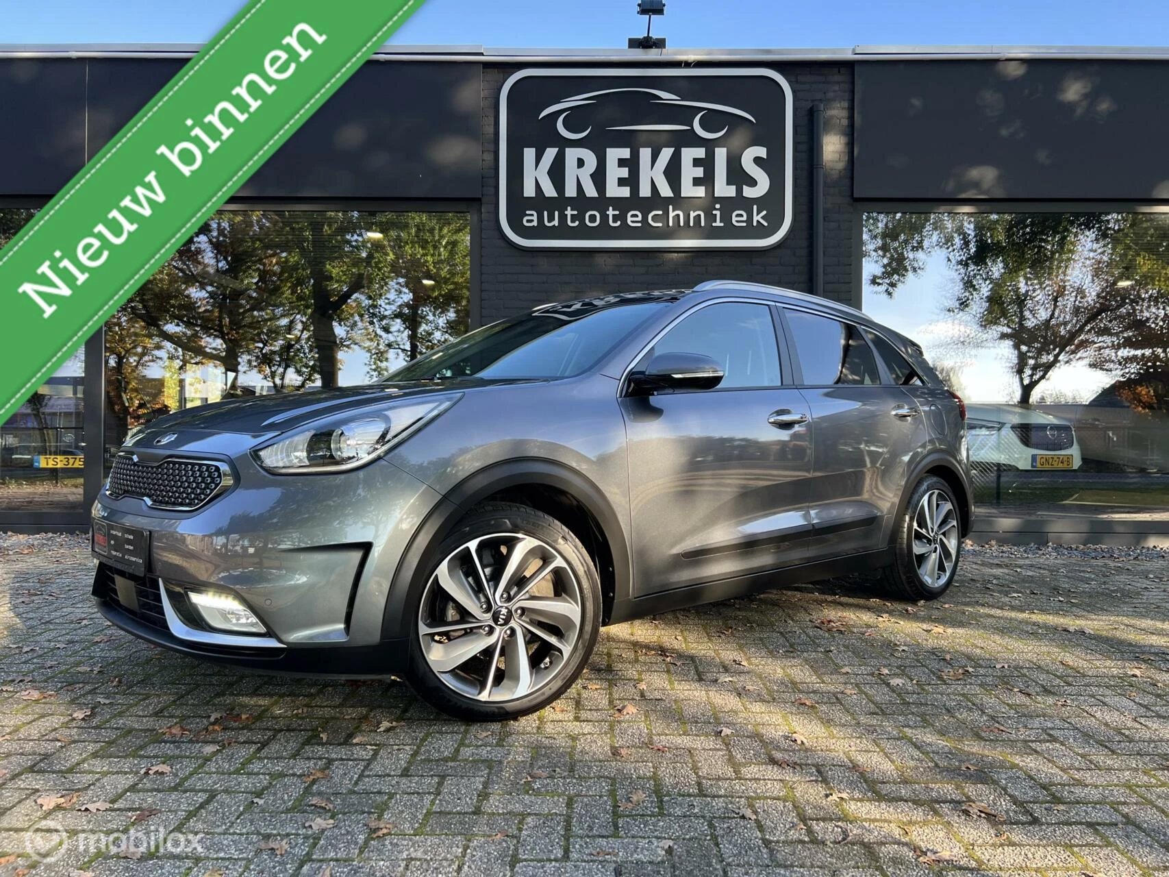 Hoofdafbeelding Kia Niro