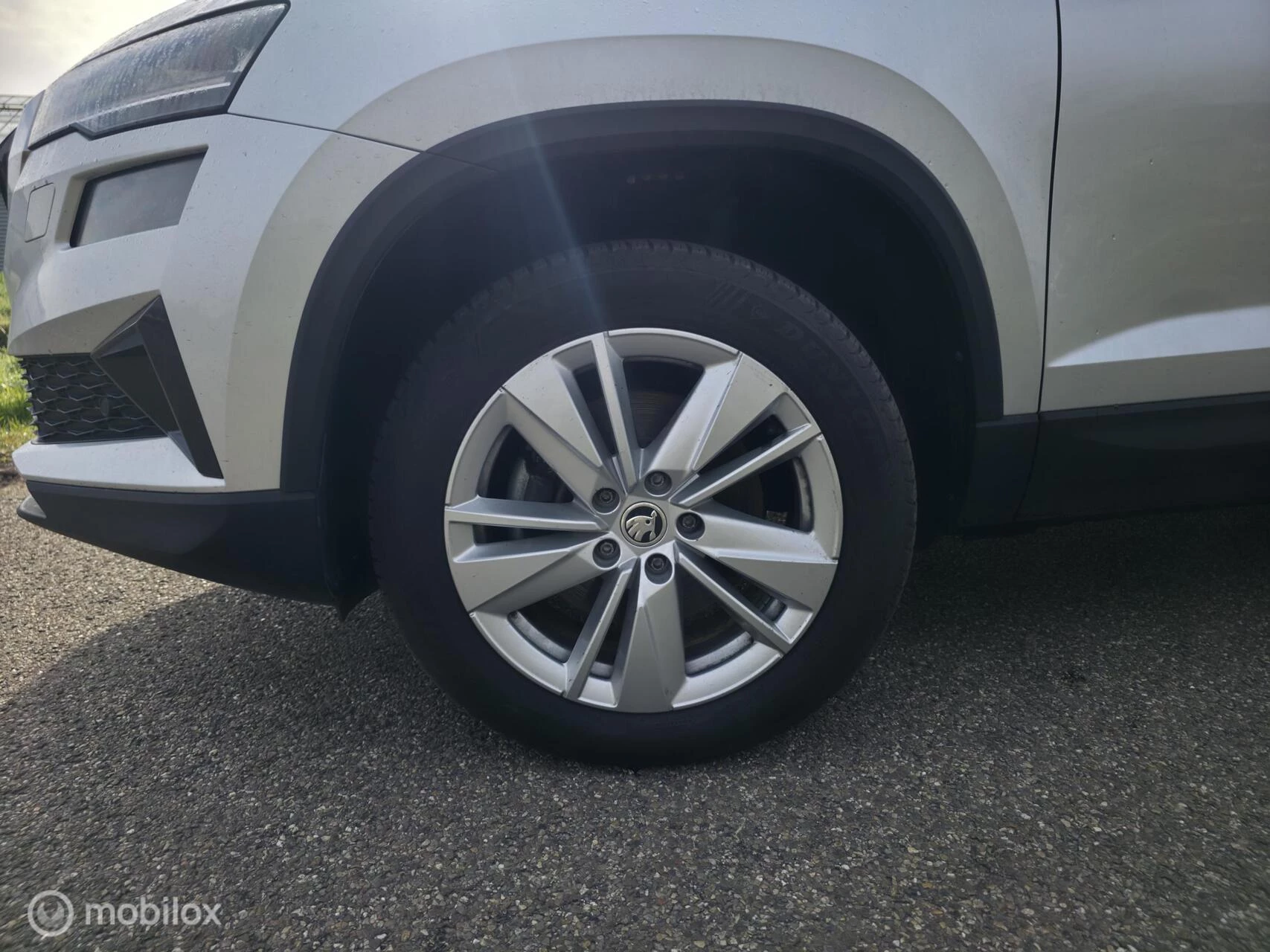 Hoofdafbeelding Škoda Karoq