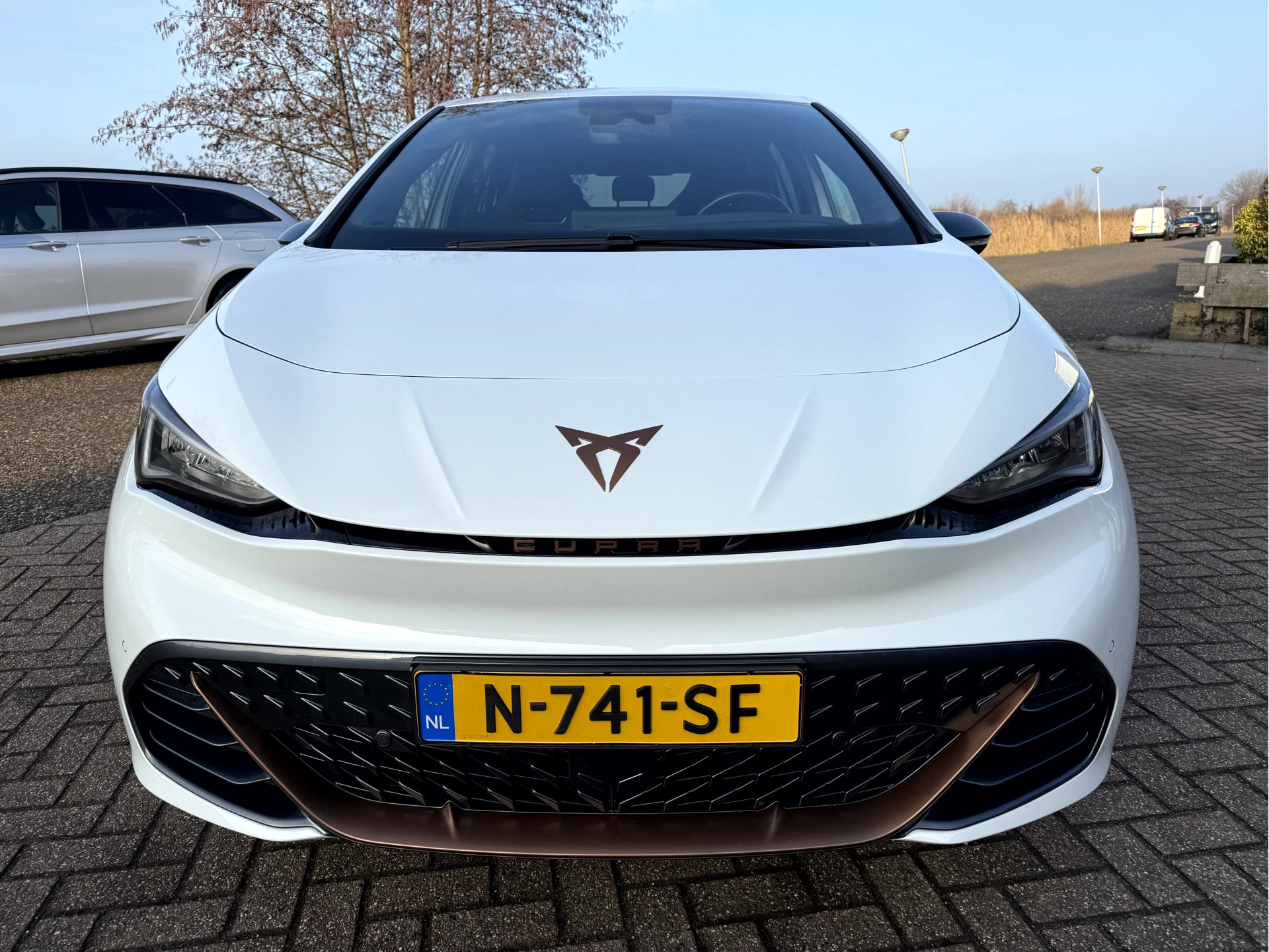 Hoofdafbeelding CUPRA Born