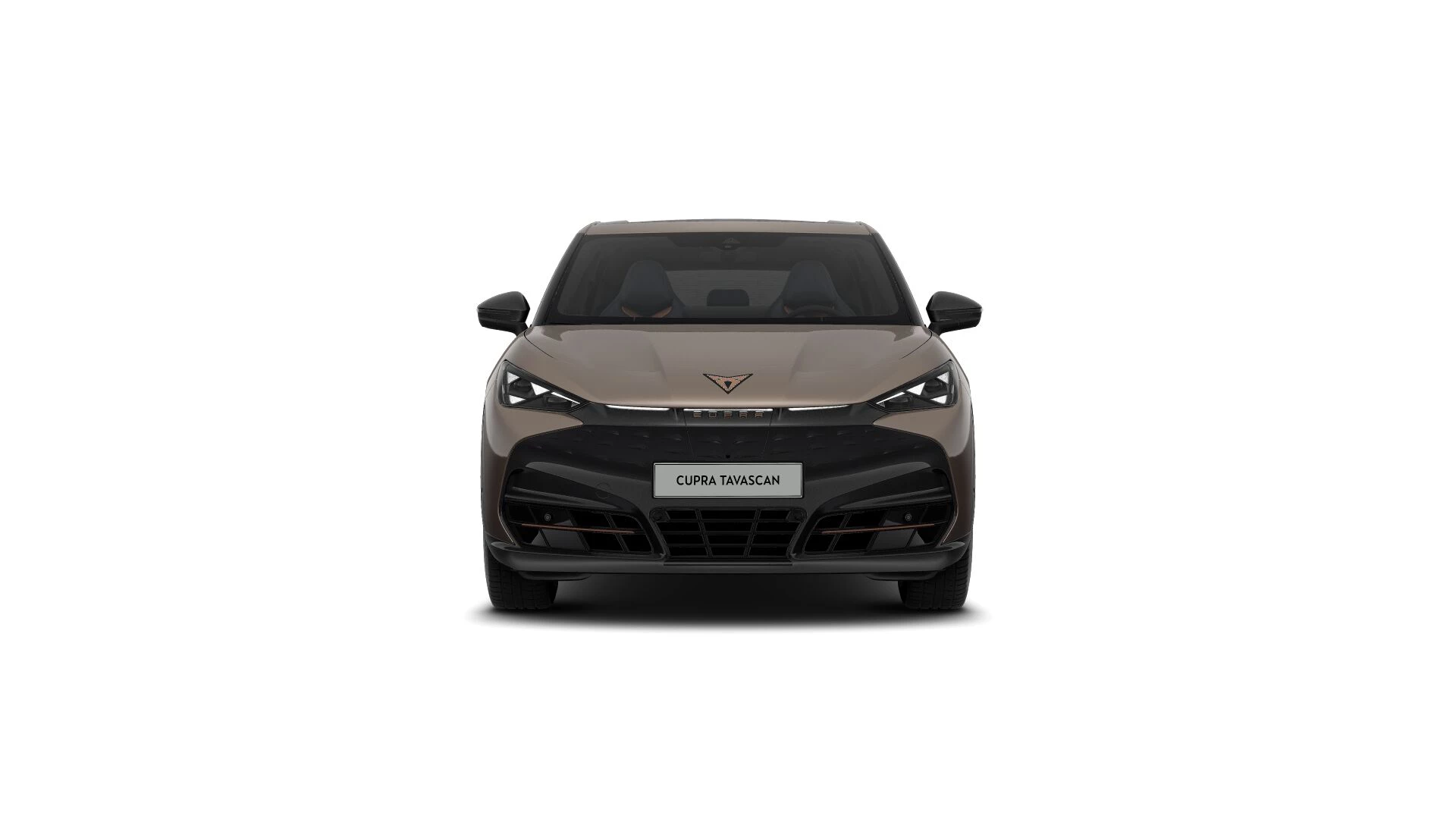 Hoofdafbeelding CUPRA Tavascan