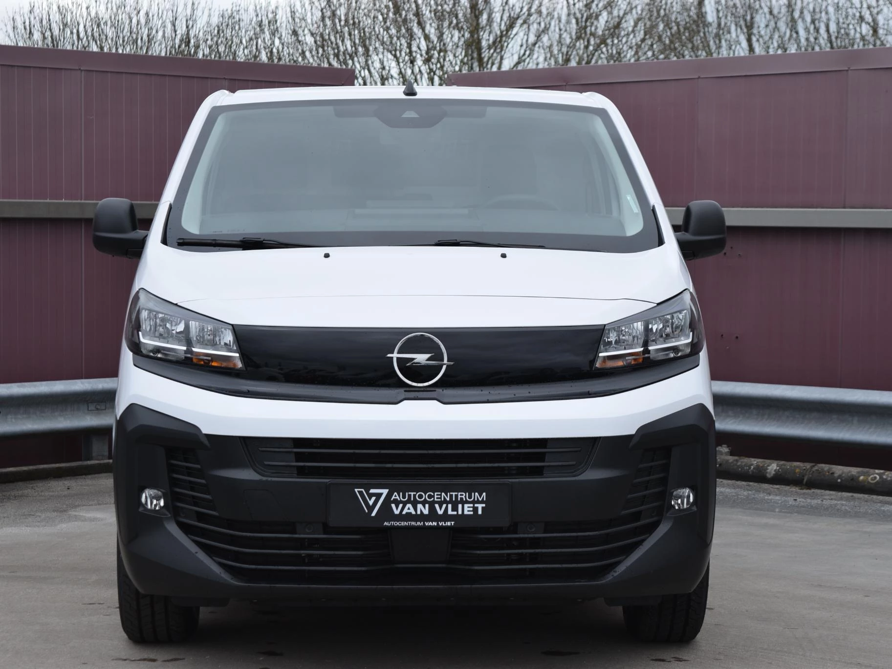 Hoofdafbeelding Opel Vivaro-e