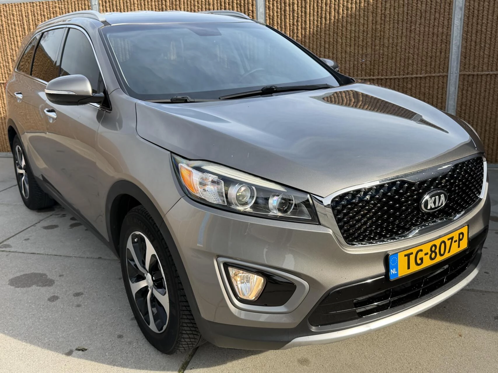 Hoofdafbeelding Kia Sorento