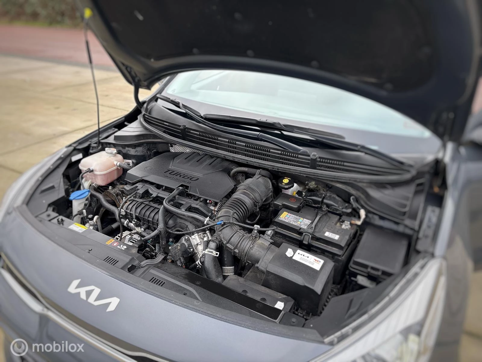 Hoofdafbeelding Kia Rio