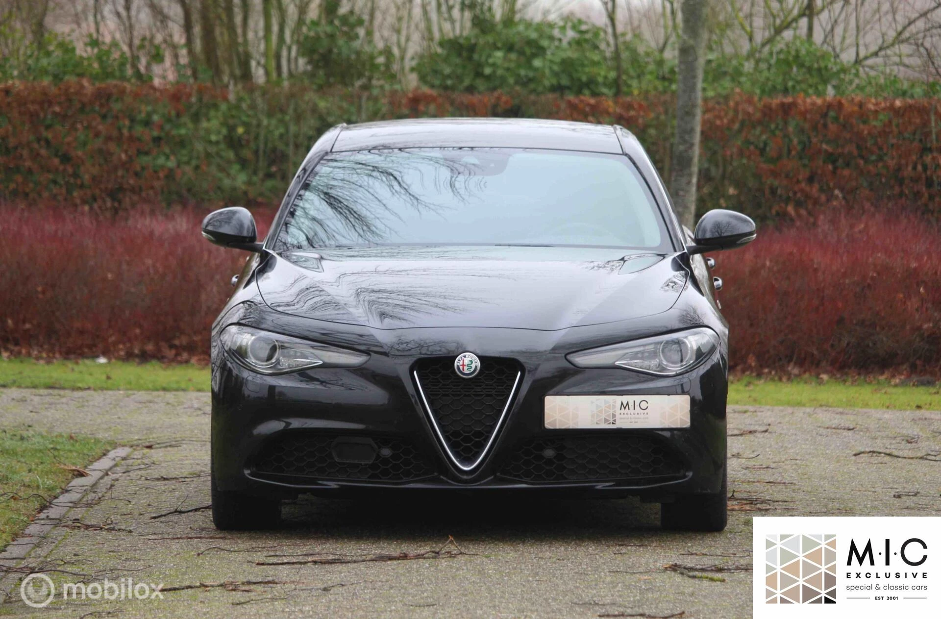 Hoofdafbeelding Alfa Romeo Giulia