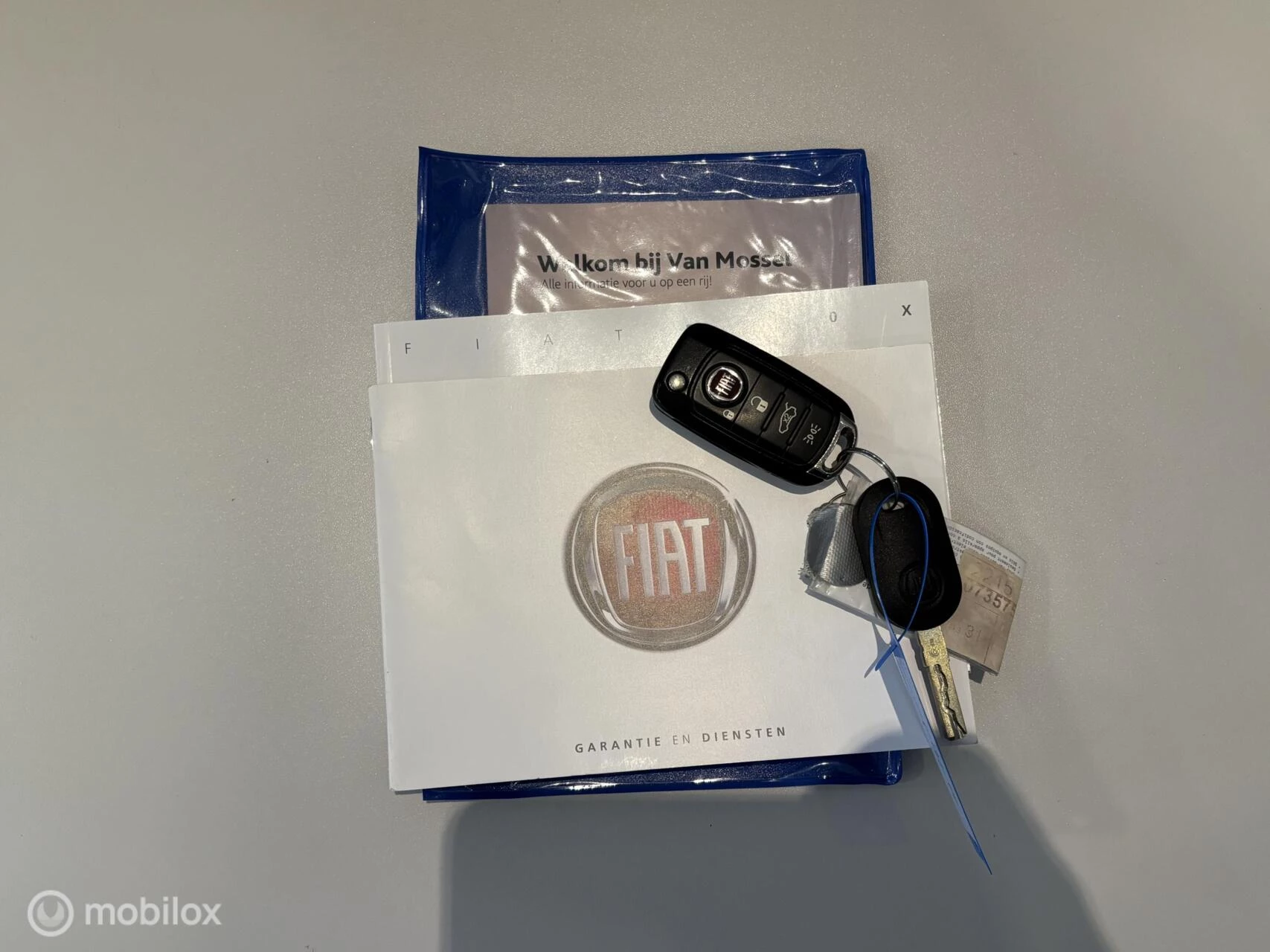 Hoofdafbeelding Fiat 500X