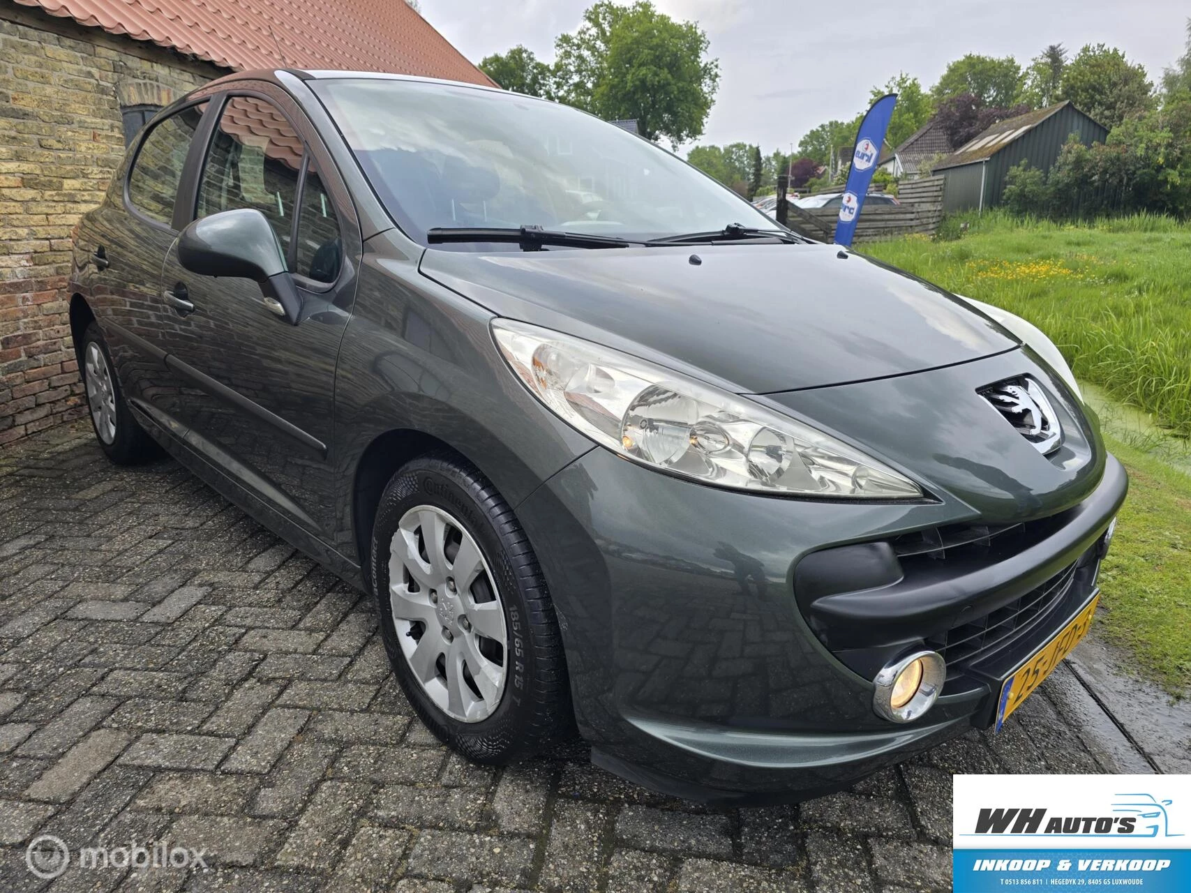 Hoofdafbeelding Peugeot 207