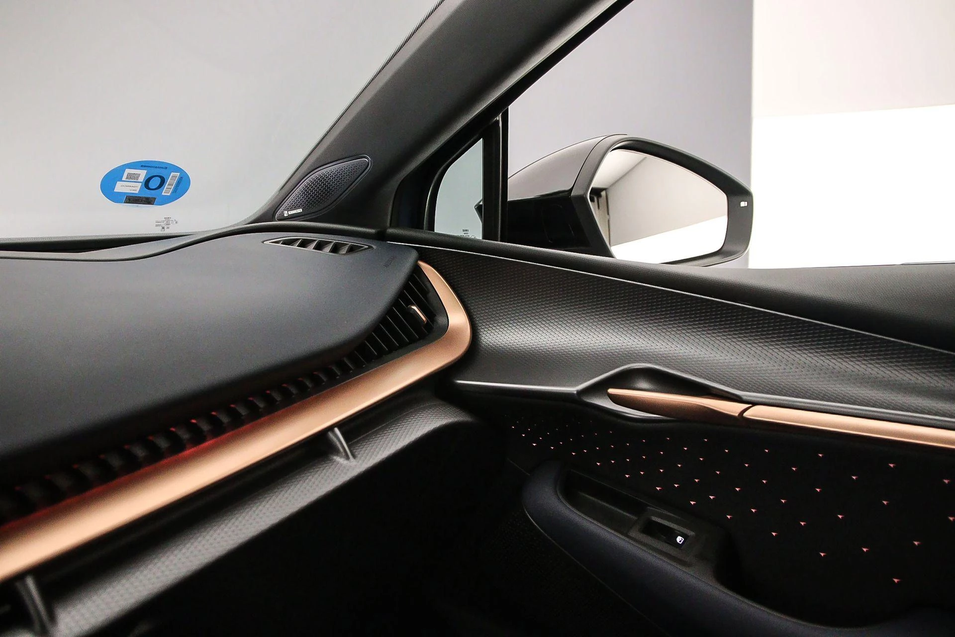 Hoofdafbeelding CUPRA Tavascan