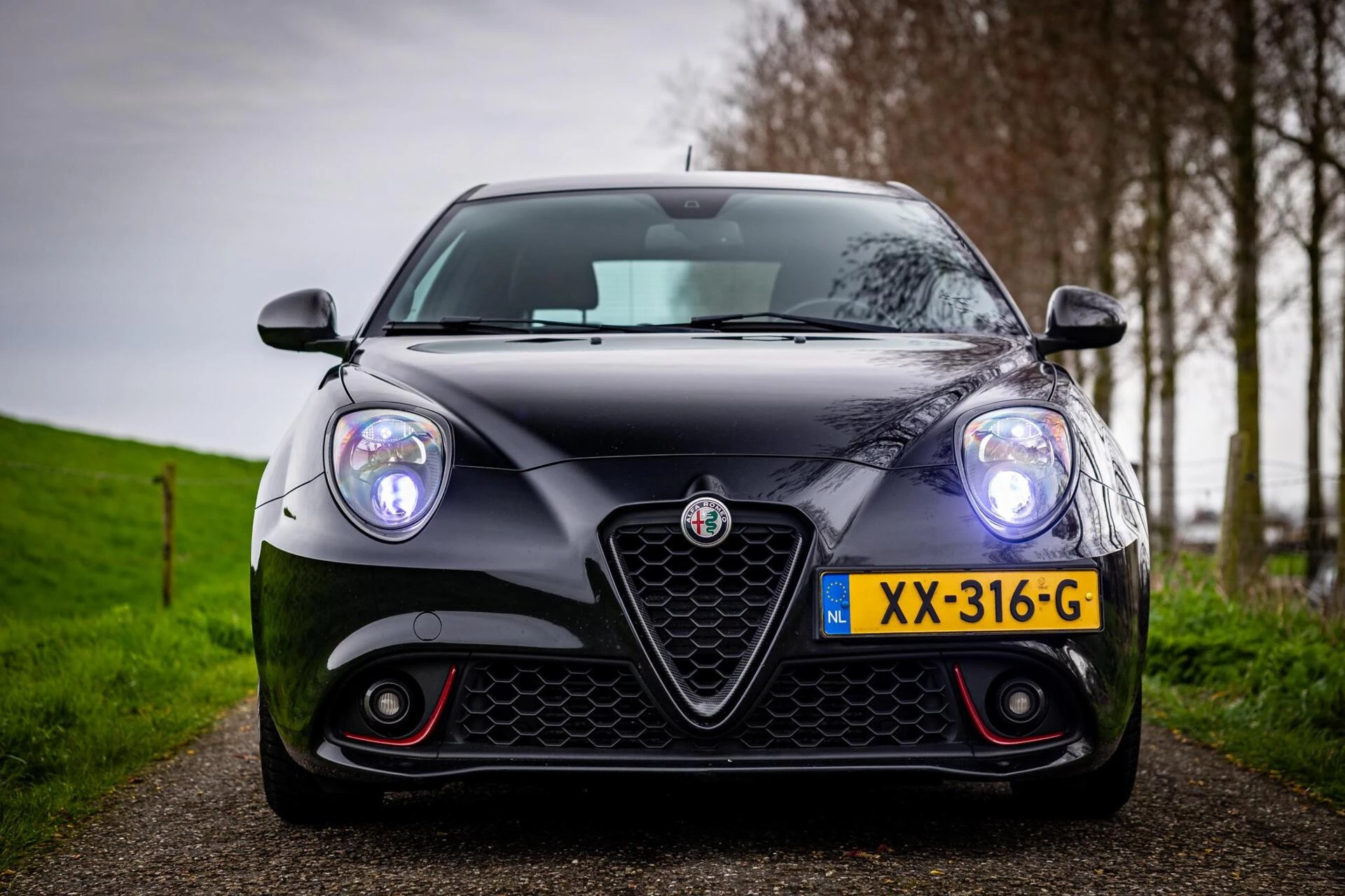 Hoofdafbeelding Alfa Romeo MiTo